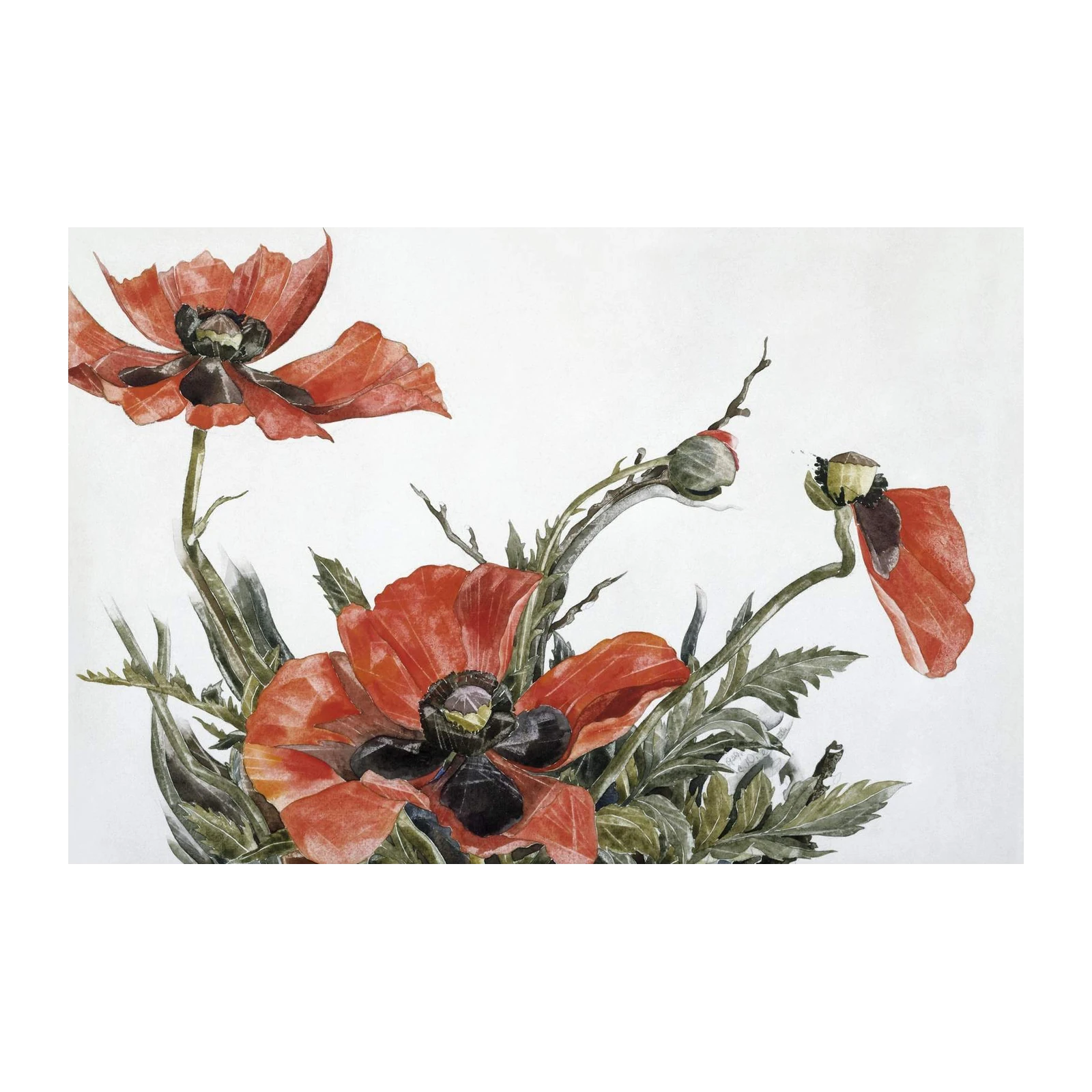 Vibrant Red Poppies Watercolor Wall Art