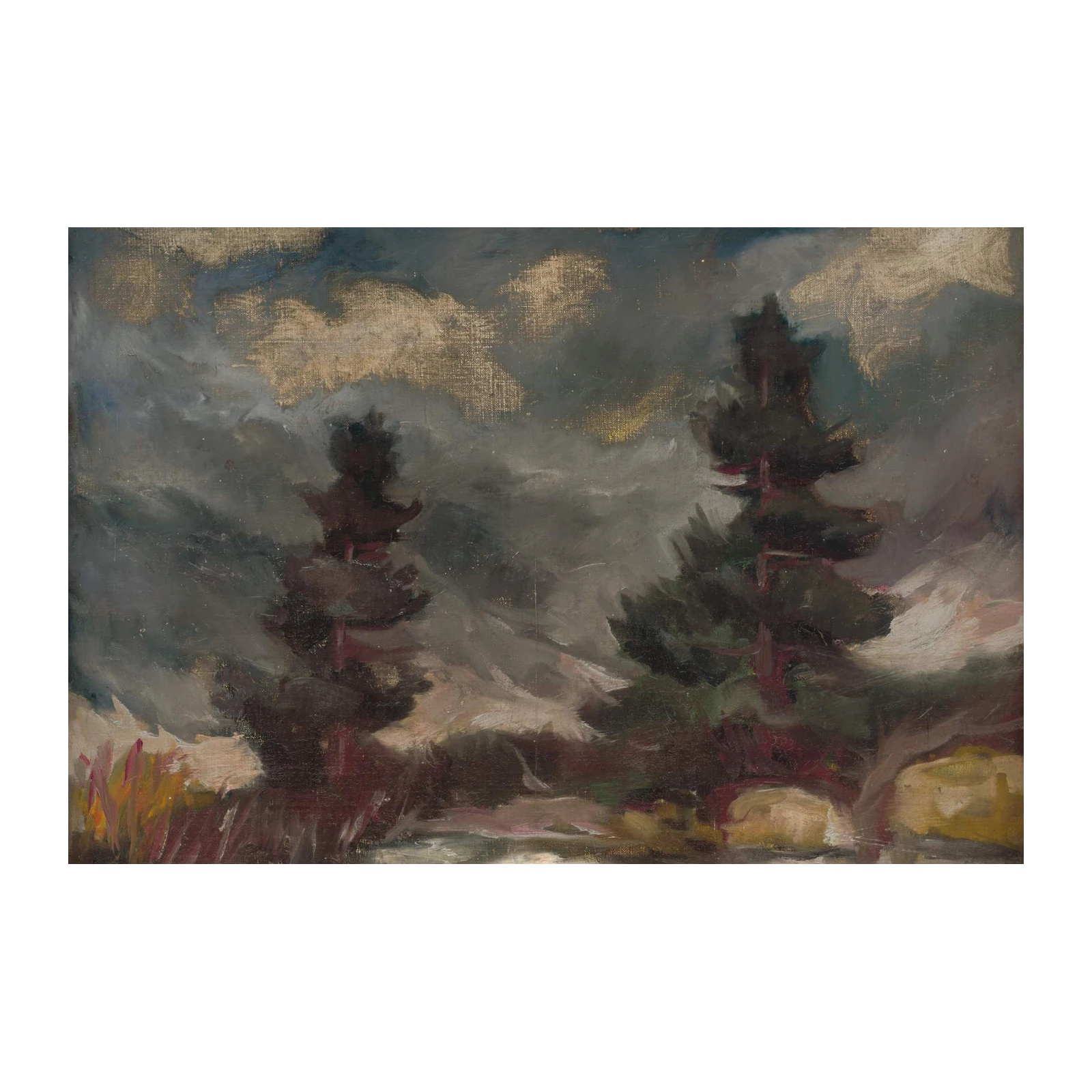 Moody Pine Forest Landscape Wall Art