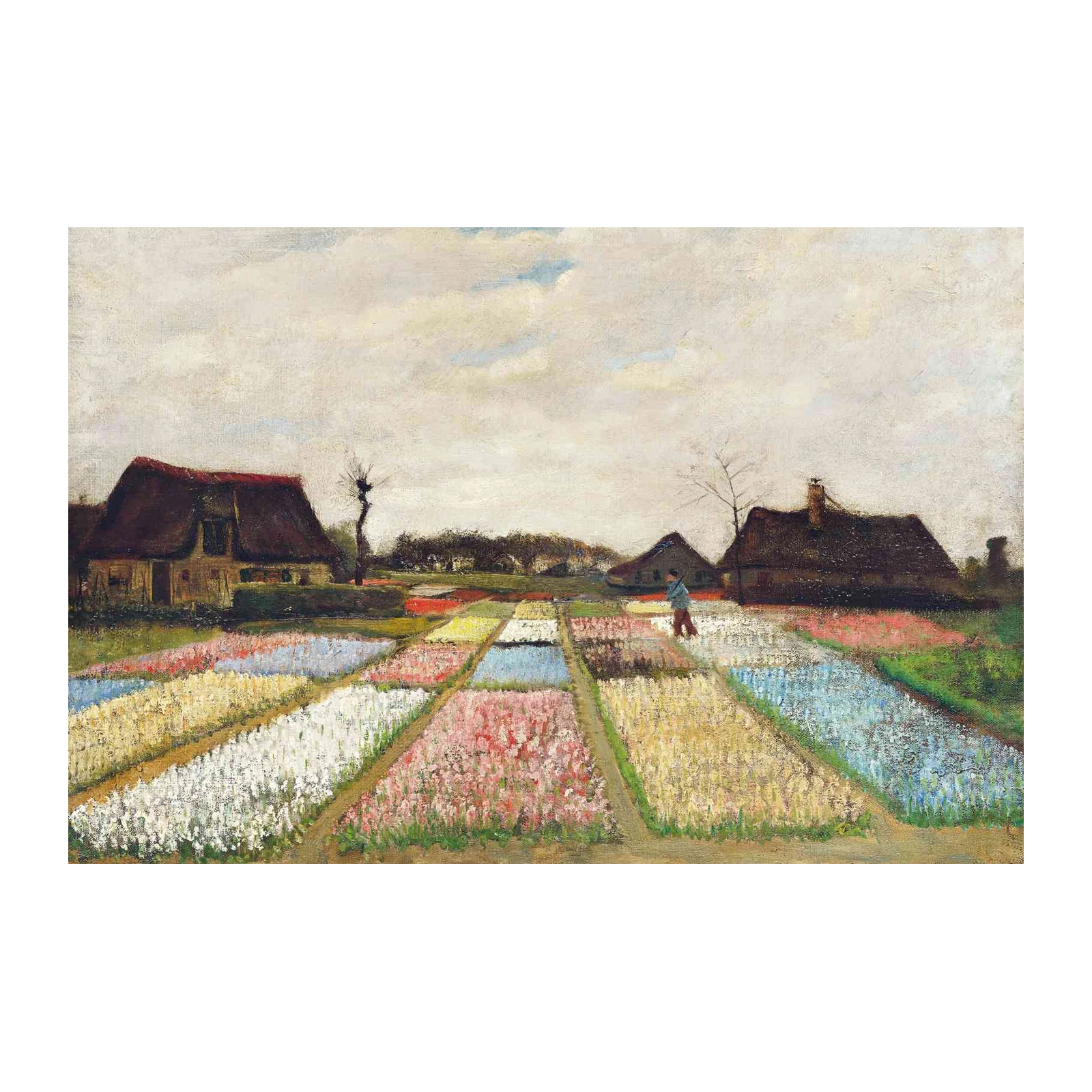 Vibrant Flower Field Landscape Wall Art