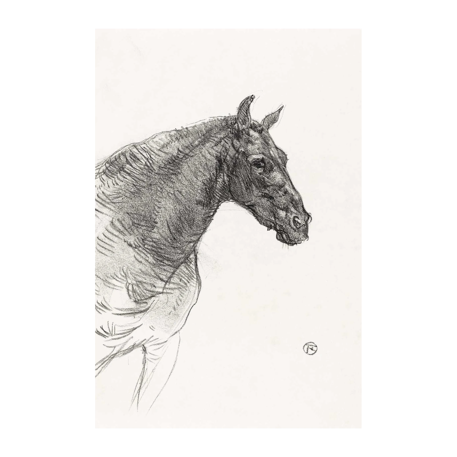 Majestic Horse Sketch Wall Art