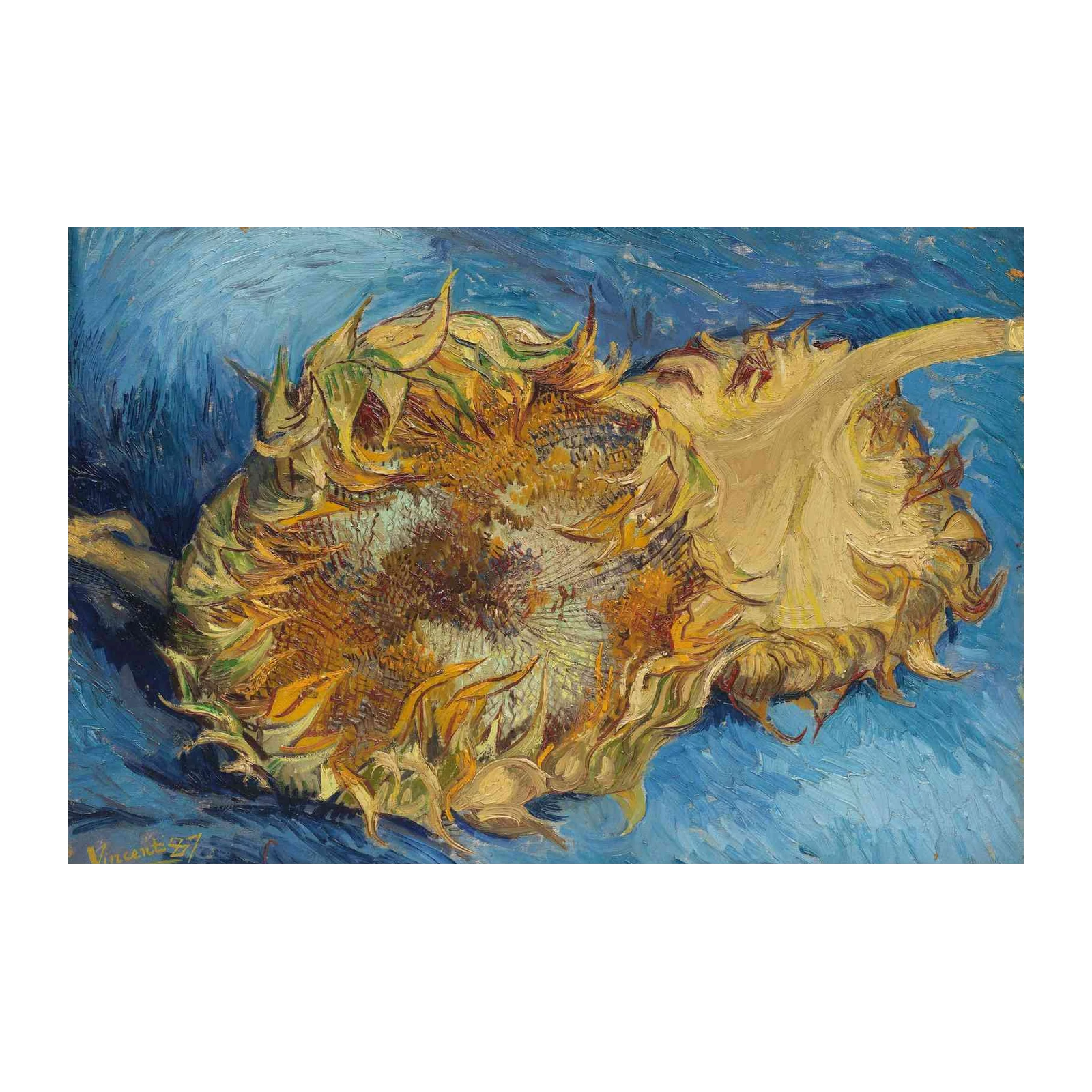 Van Gogh Sunflowers Vintage Wall Art Wall Art