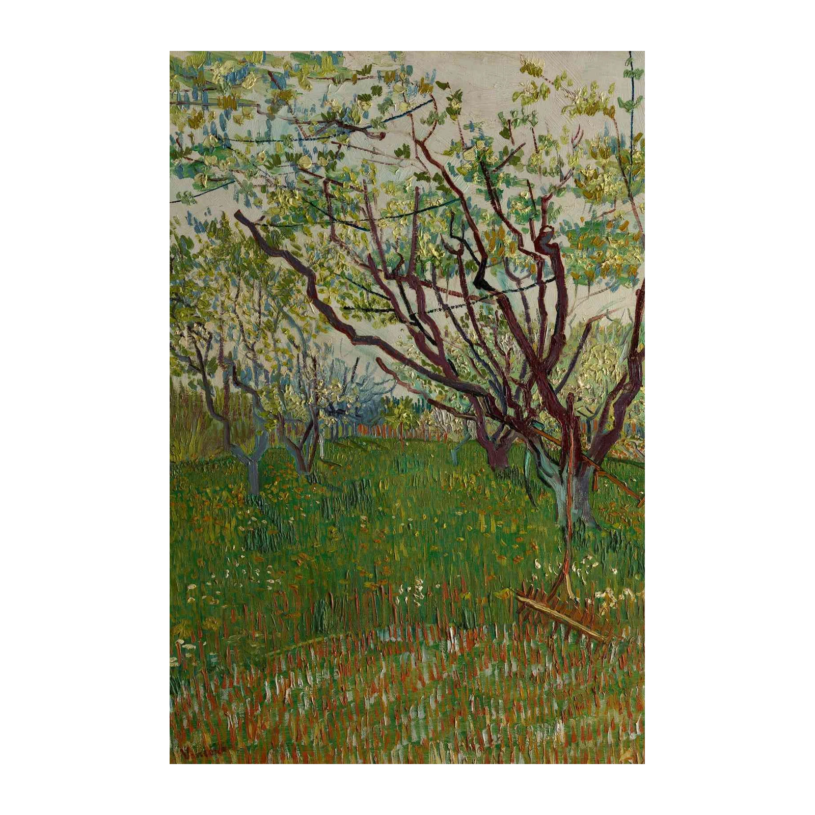 Vibrant Orchard View Van Gogh Style Wall Art