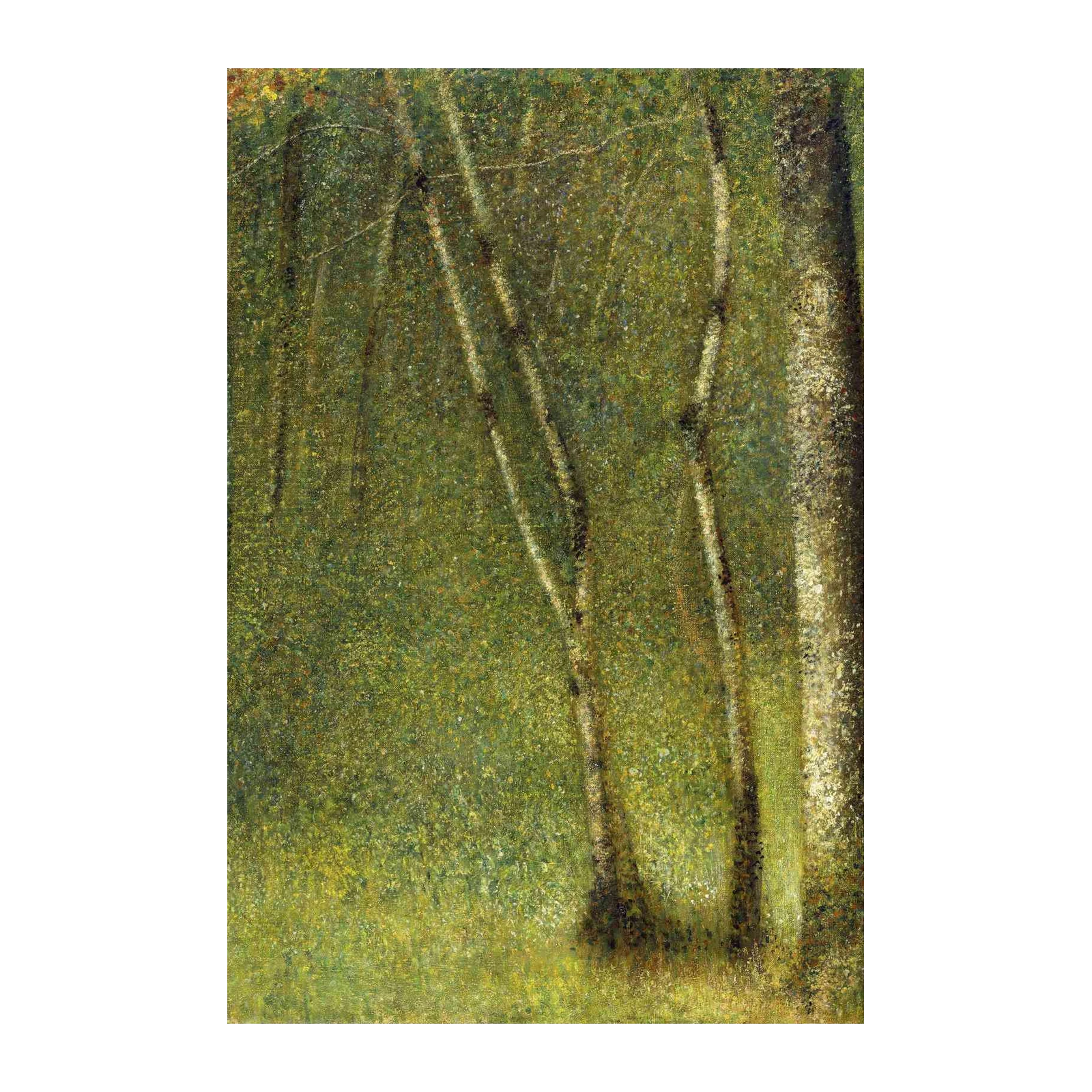 Enchanting Forest Sunlight Wall Art