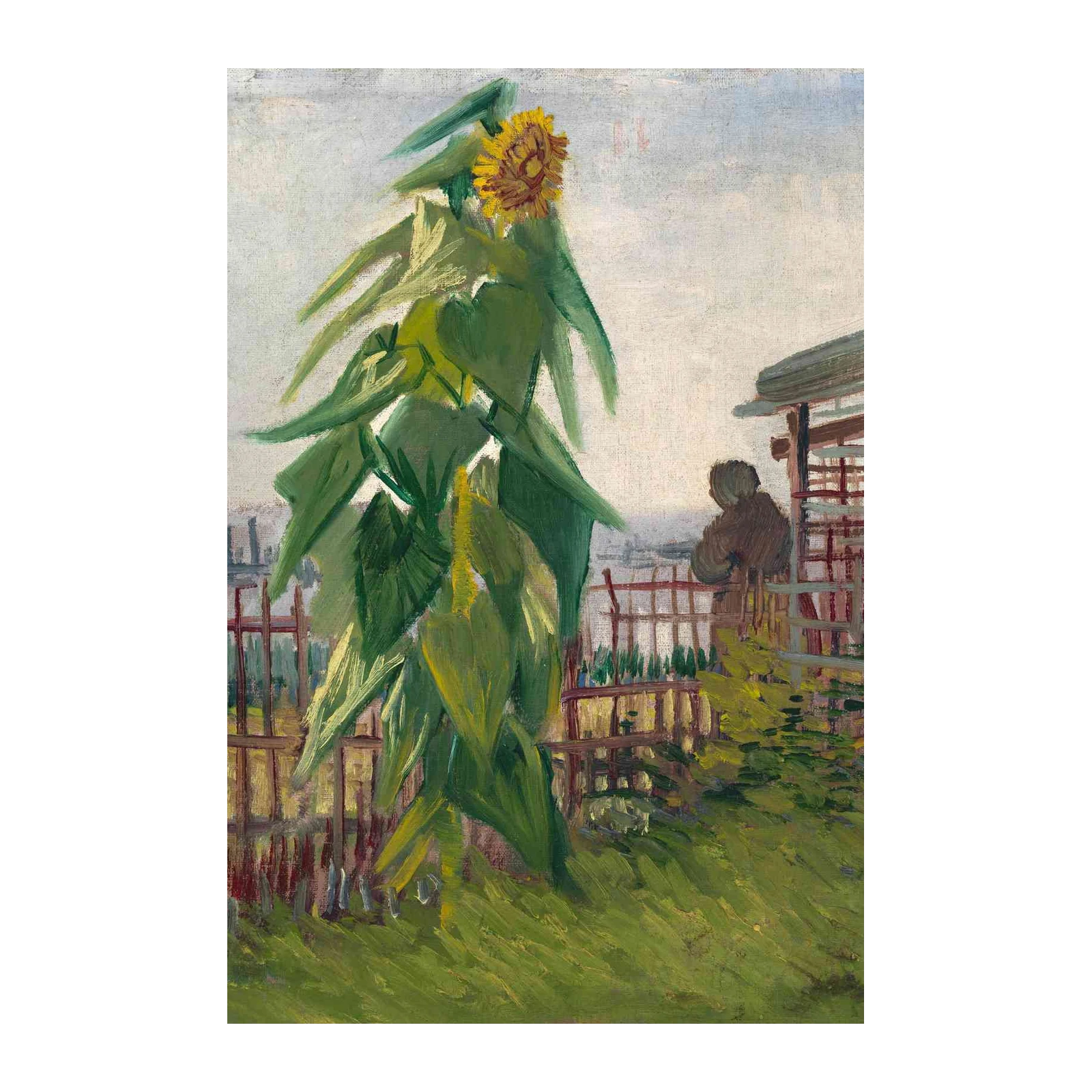 Vibrant Sunflower Garden Impressionist Wall Art