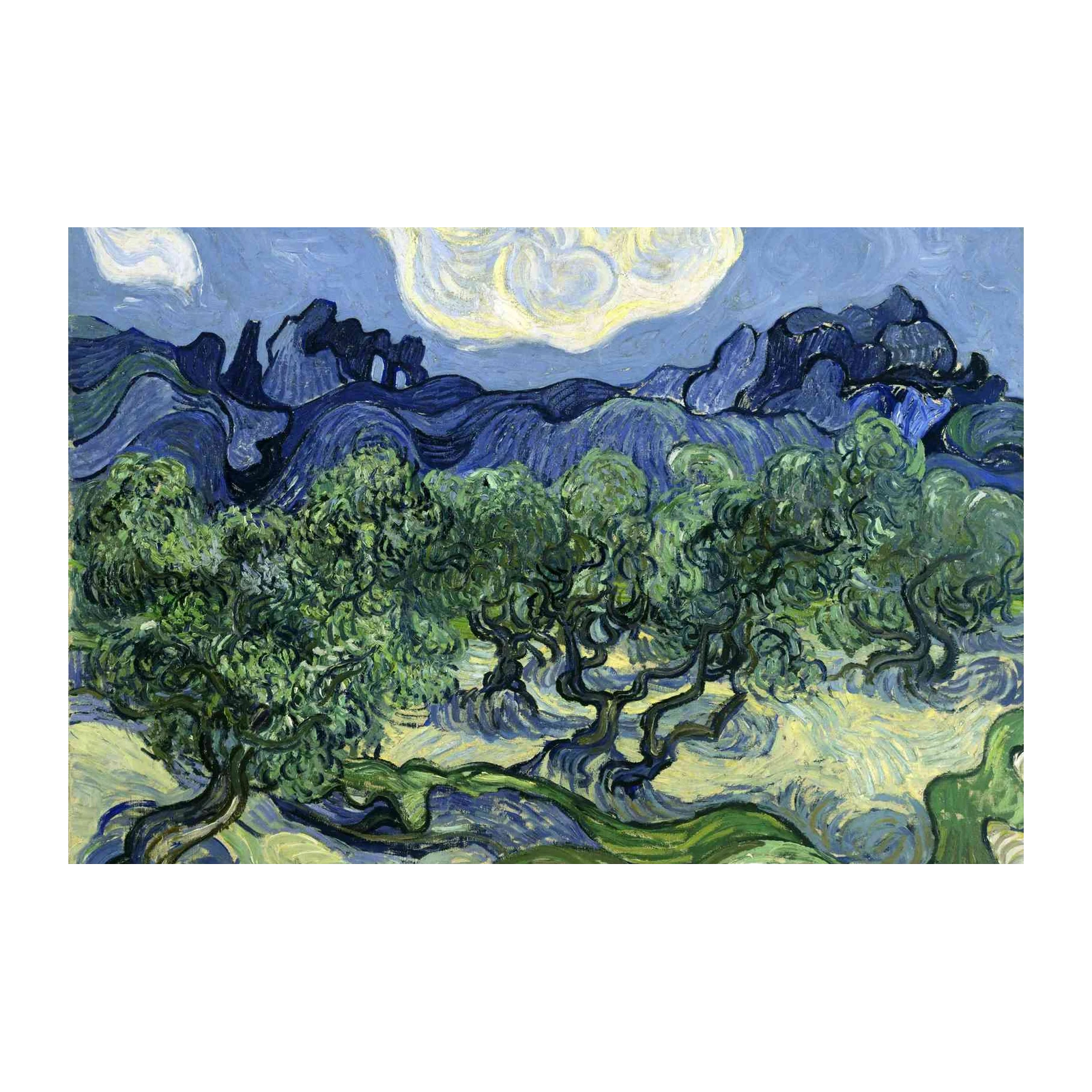 Van Gogh Olive Trees & Sky Wall Art
