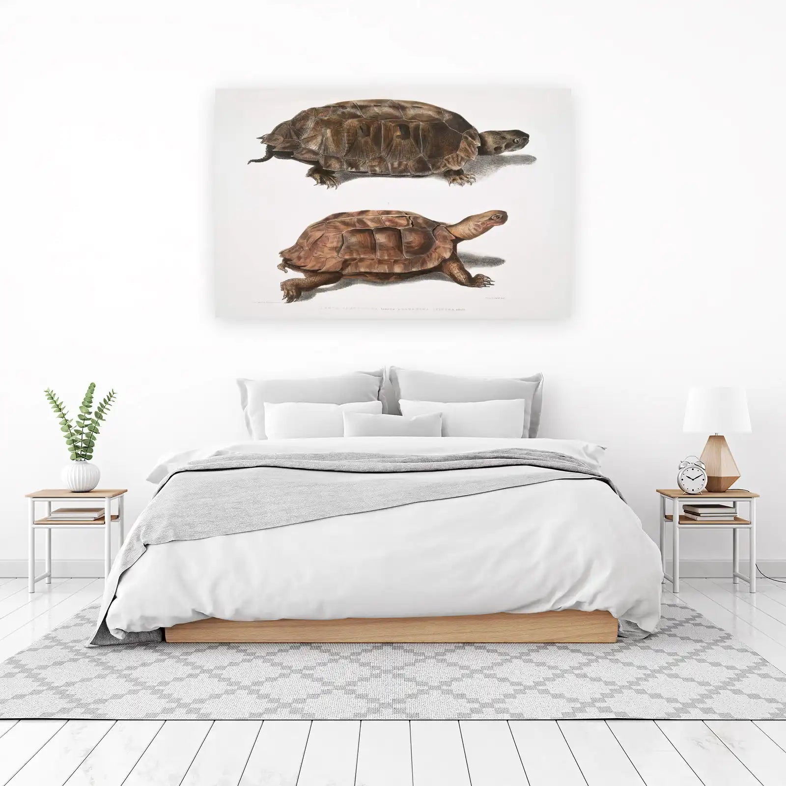 Vintage Tortoise Duo Botanical Art Wall Art