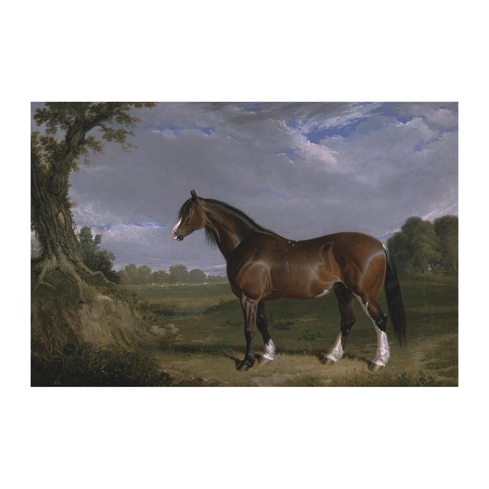 Majestic Bay Horse Landscape Wall Art