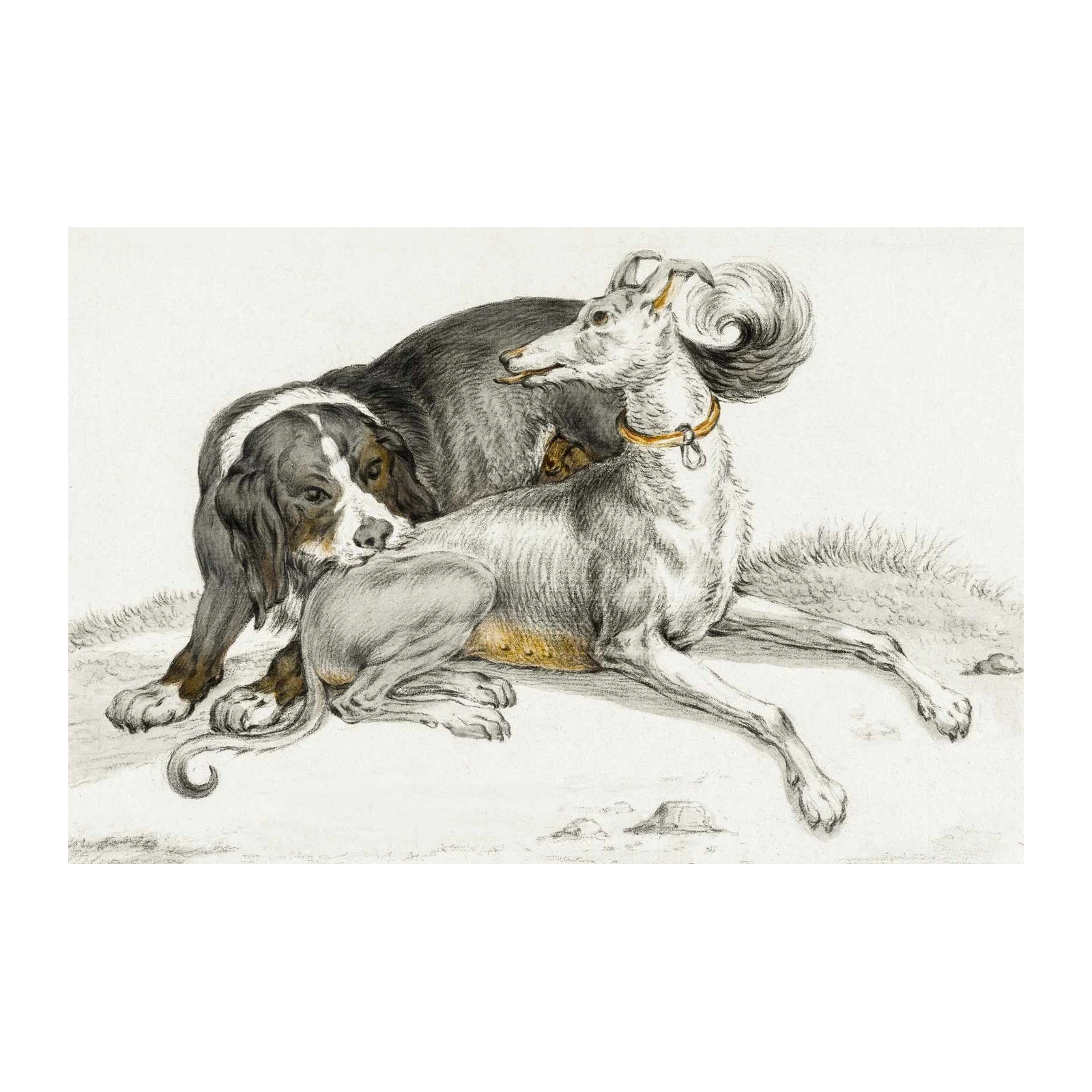 Elegant Dog Companions Vintage Art Wall Art