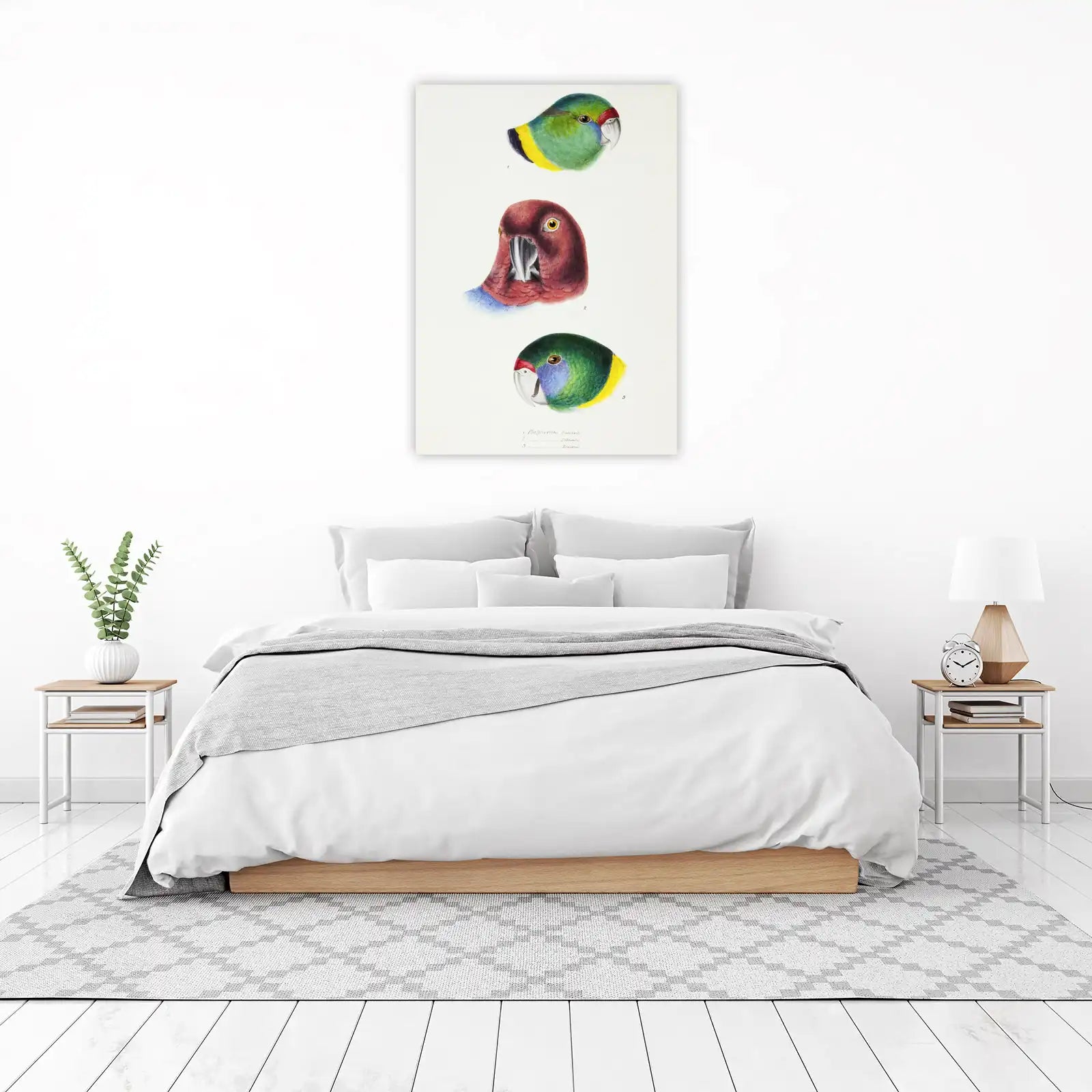 Vintage Parrot Portraits Wall Art