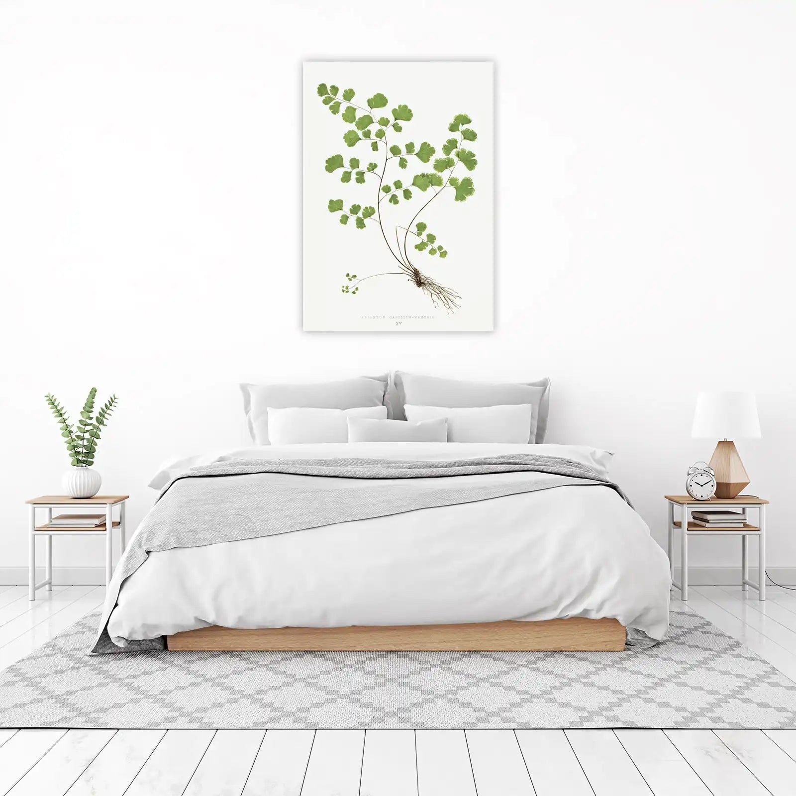 Adiantum Capillus-Veneris Botanical Art Wall Art