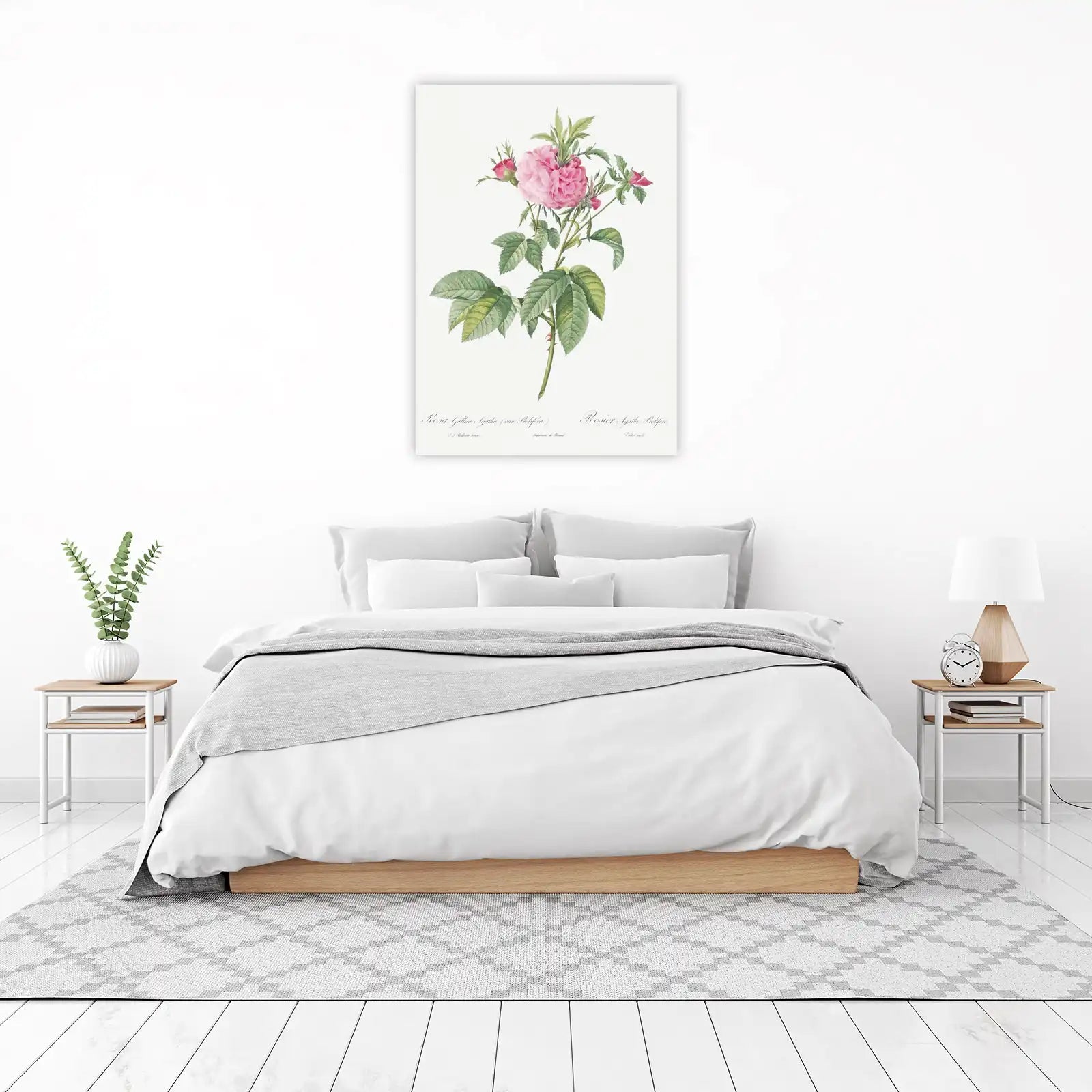 Vintage Pink Rose Botanical Art Wall Art
