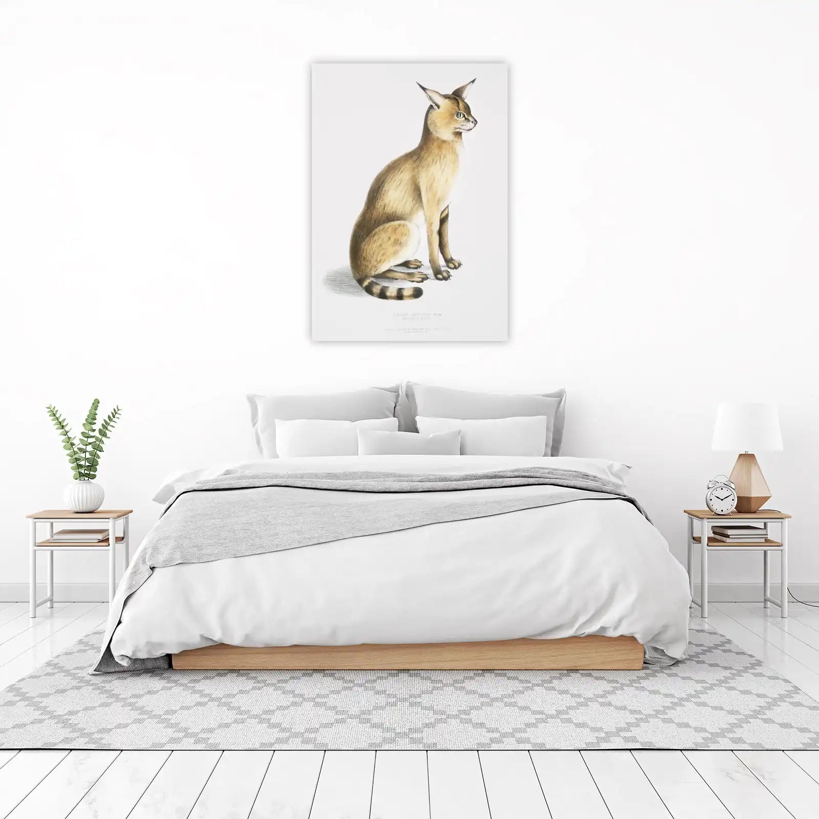 Vintage Gray Allied Cat Fine Art Wall Art
