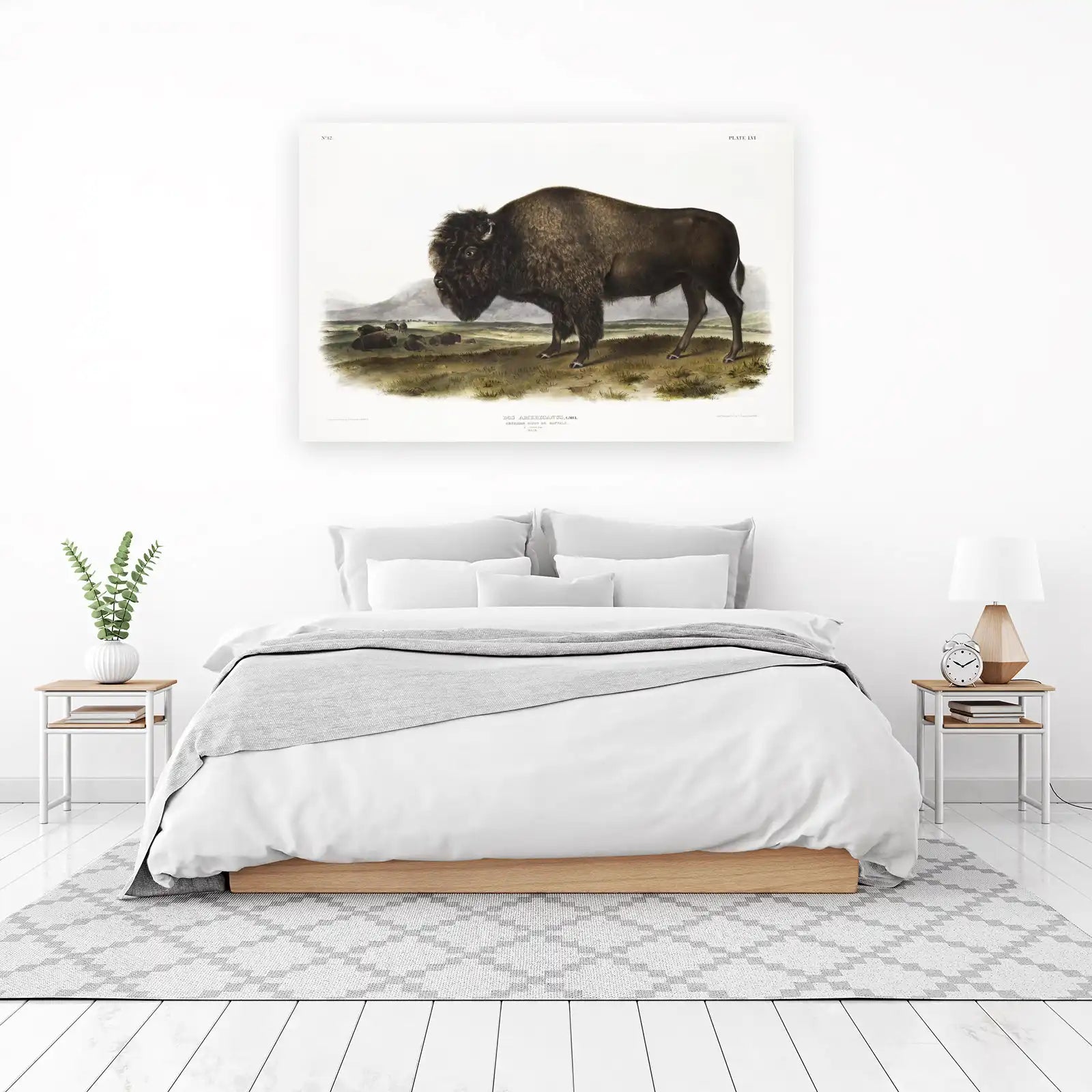 Majestic Bison Prairie Landscape Wall Art