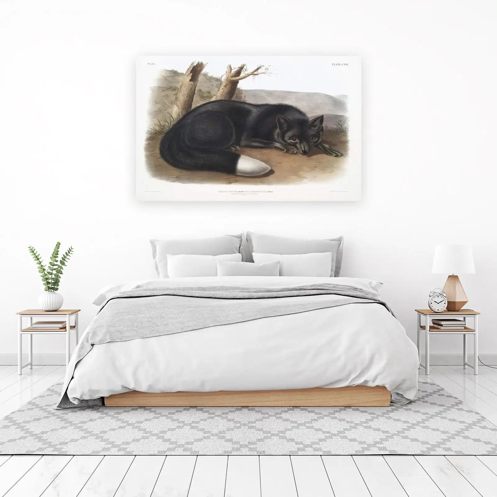 Elegant Silver Fox Nature Wall Art