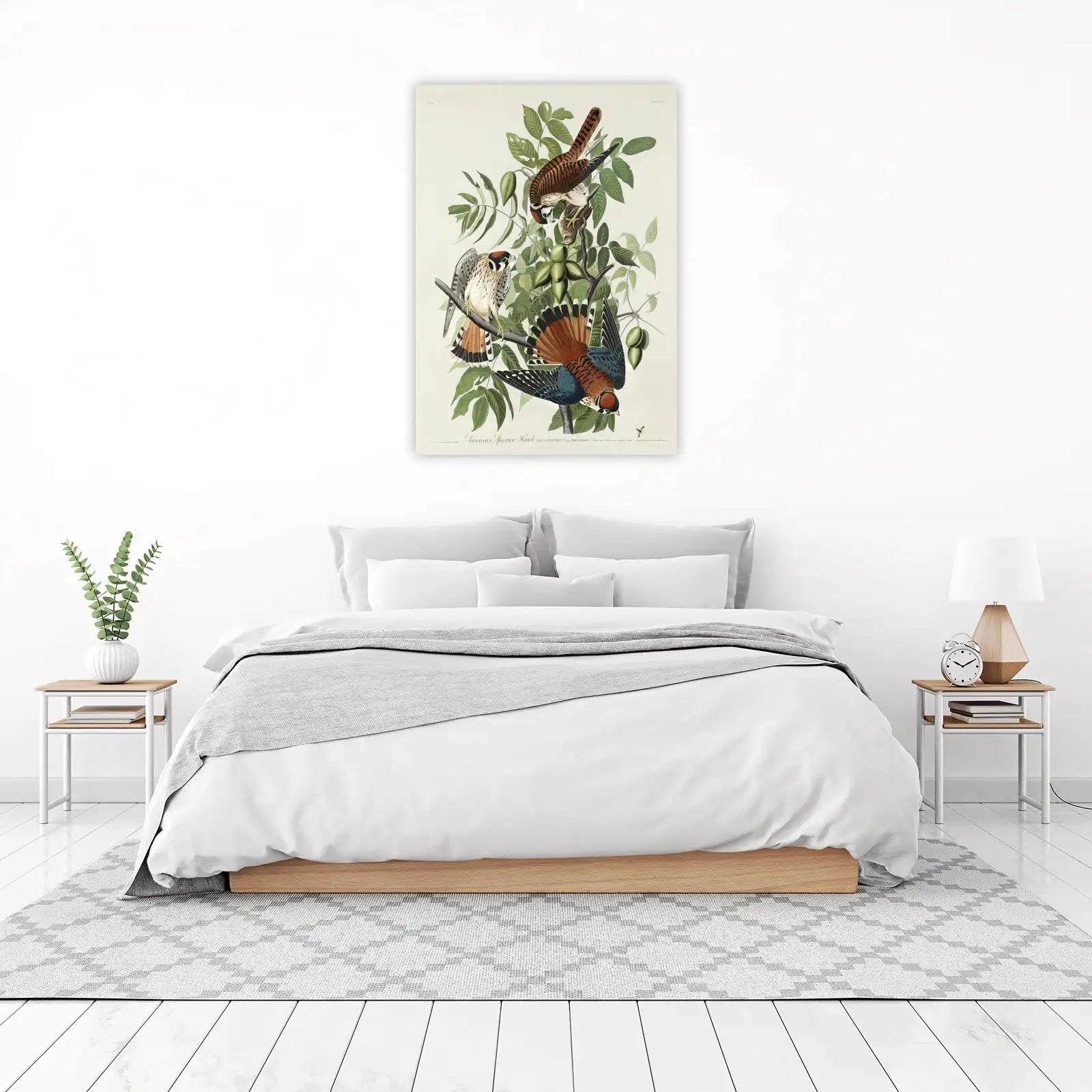 American Sparrow Hawk Bird Art Wall Art