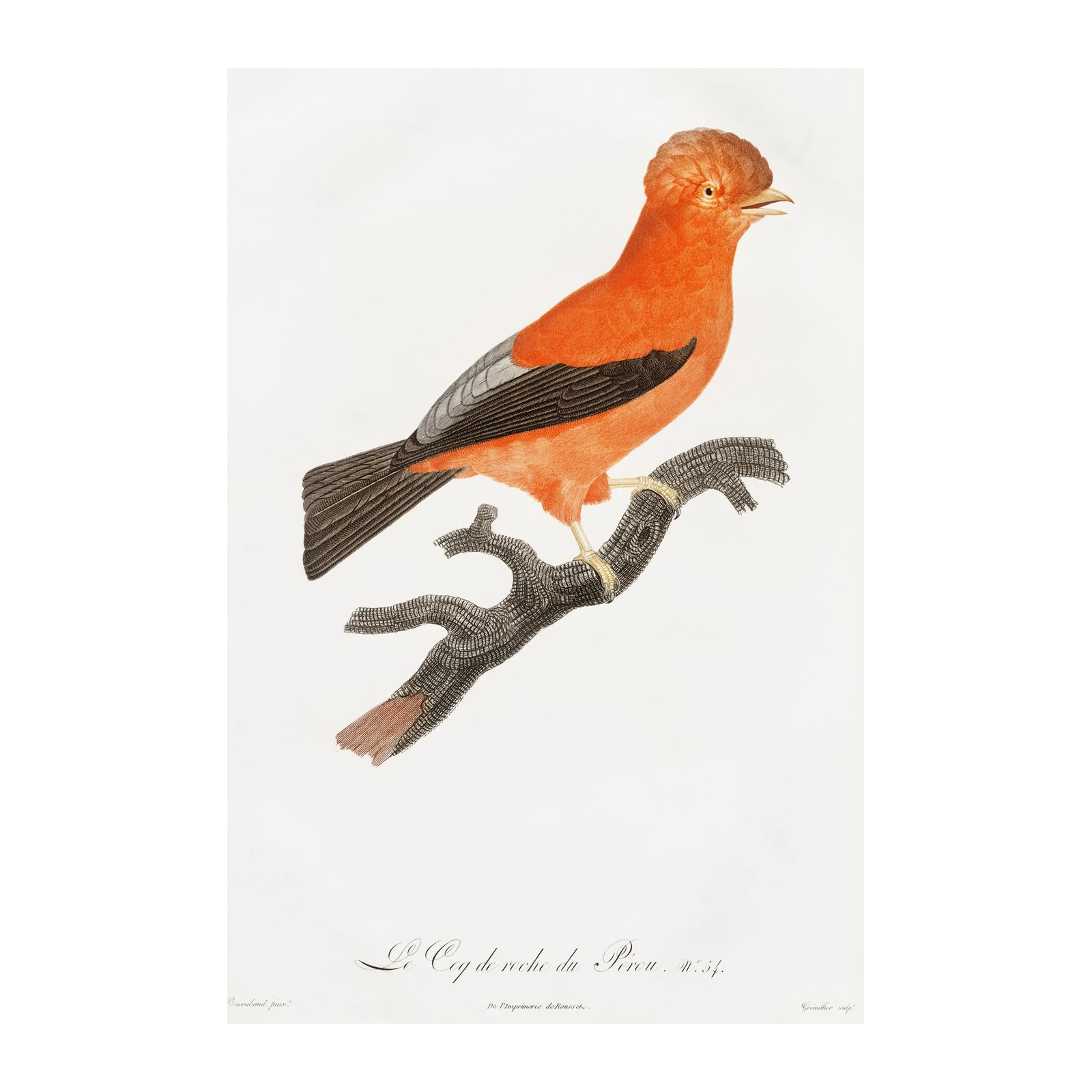 Vibrant Red Bird perched on Branch Wall Art