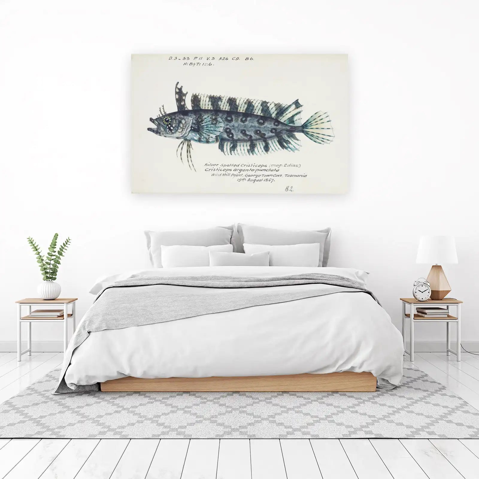 Vintage Silver Spotted Cristiceps Fish Wall Art