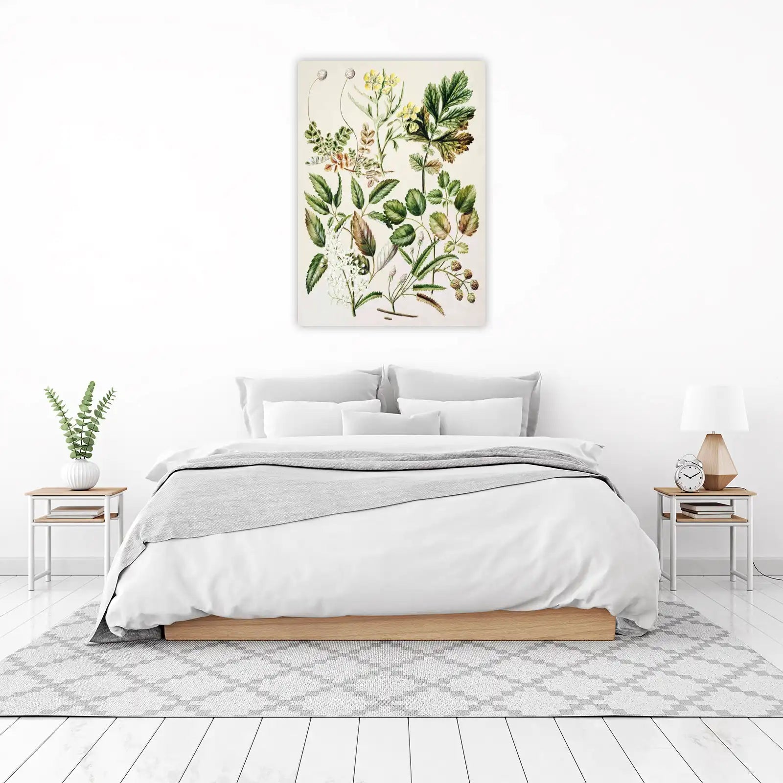 Vintage Botanical Studies of Flora Wall Art