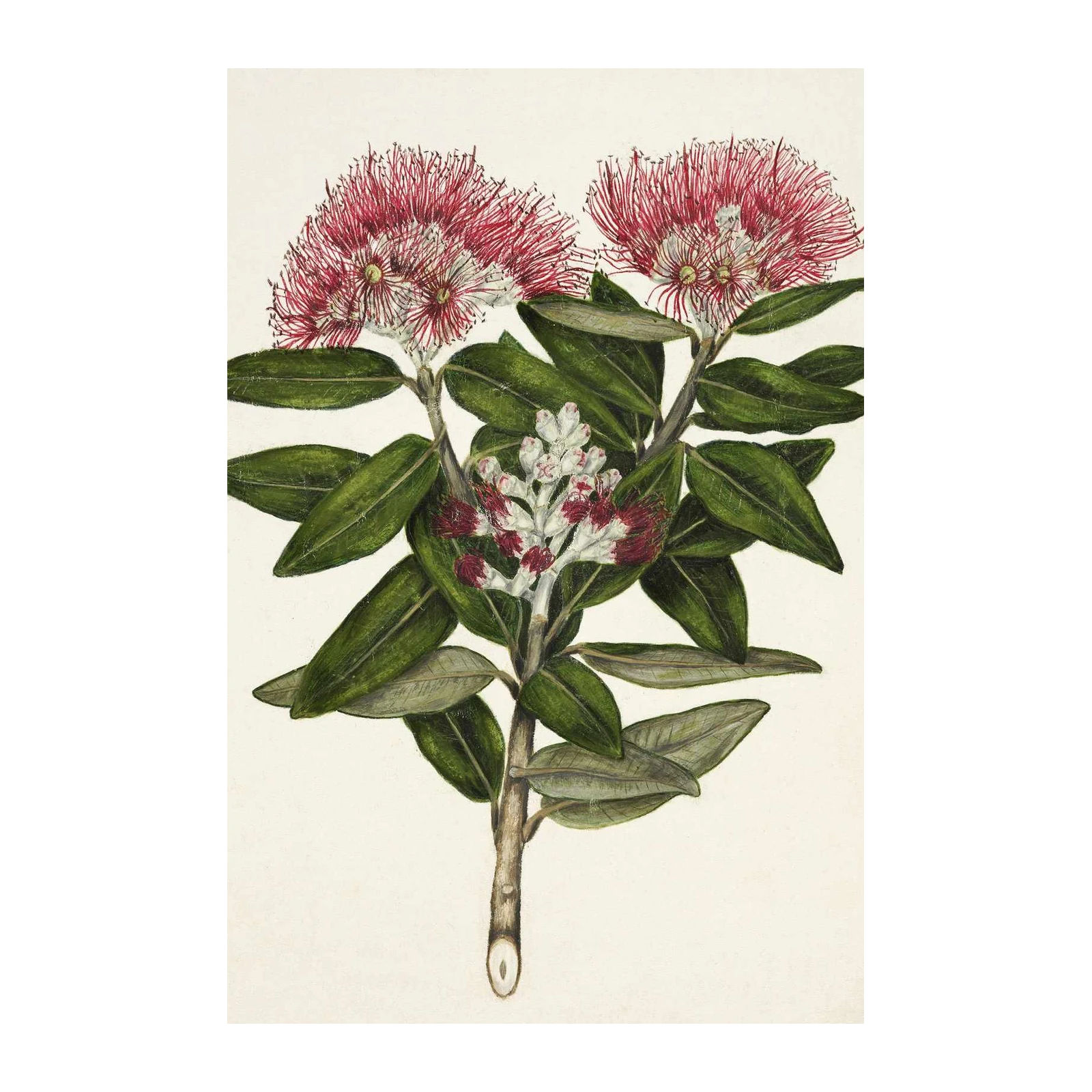 Botanical Red & Green Floral Art Wall Art
