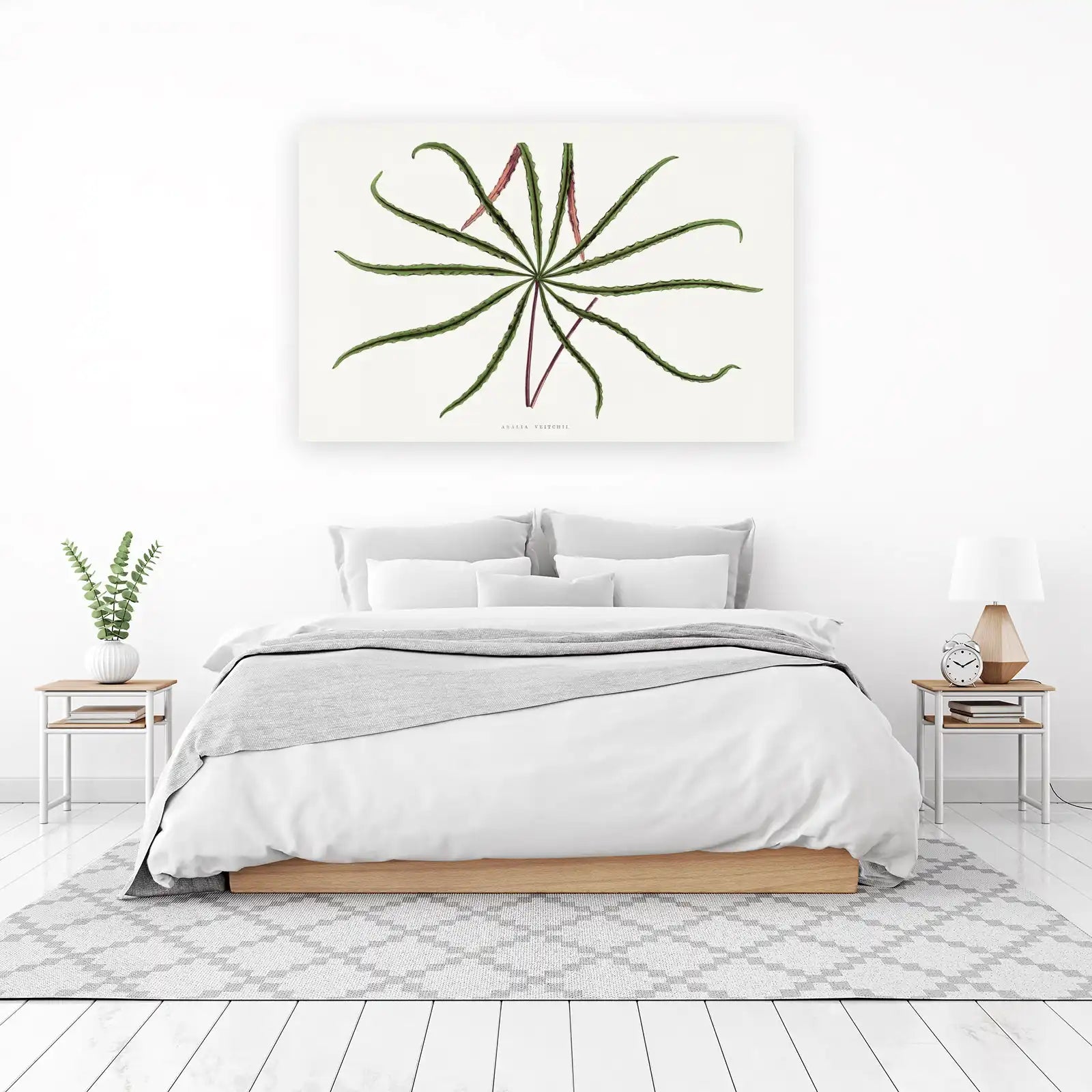 Aralia Veitchii Botanical Vintage Wall Art