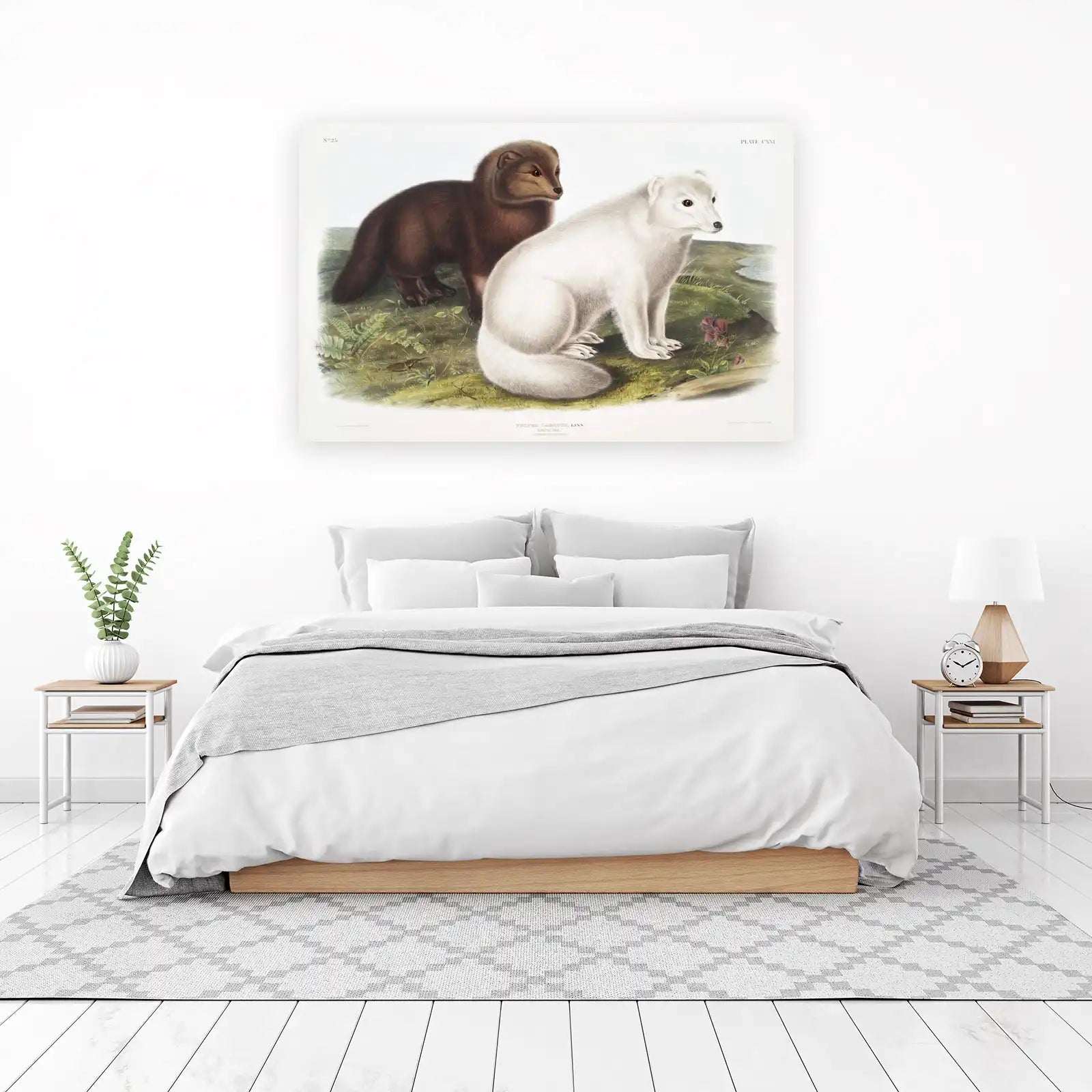 Arctic Fox Duo Vintage Wildlife Wall Art