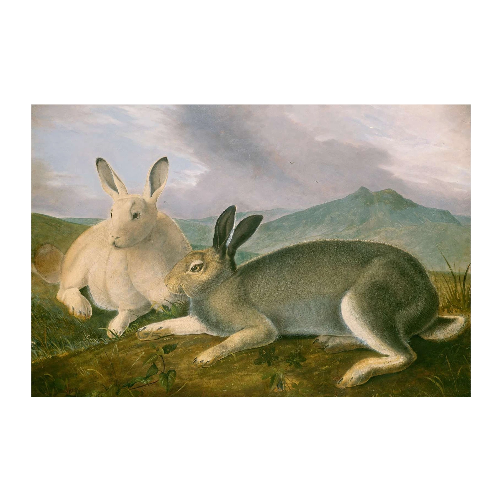 Two Hares in Landscape Vintage Animal Art Wall Art