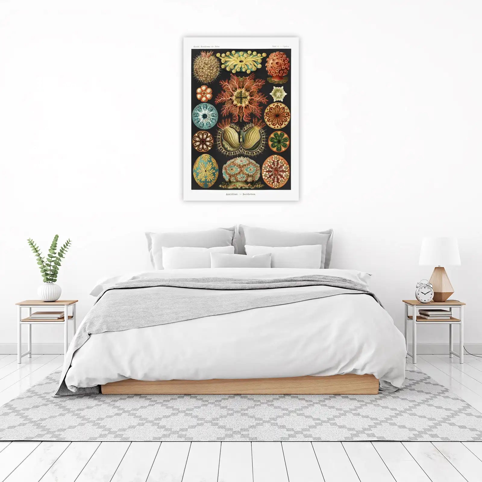Vintage Sea Creatures Botanical Art Wall Art