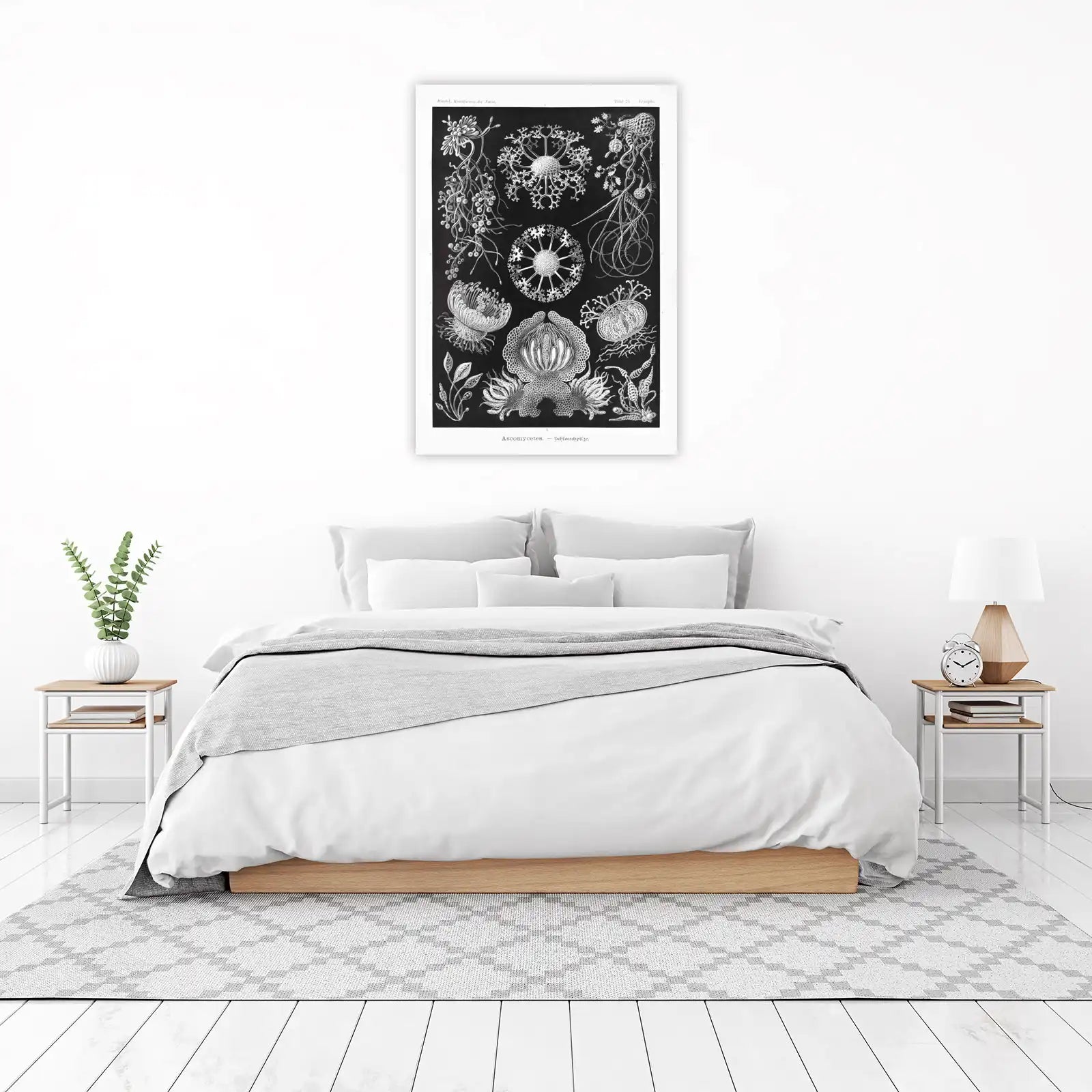 Vintage Botanical Ascomycetes Wall Art