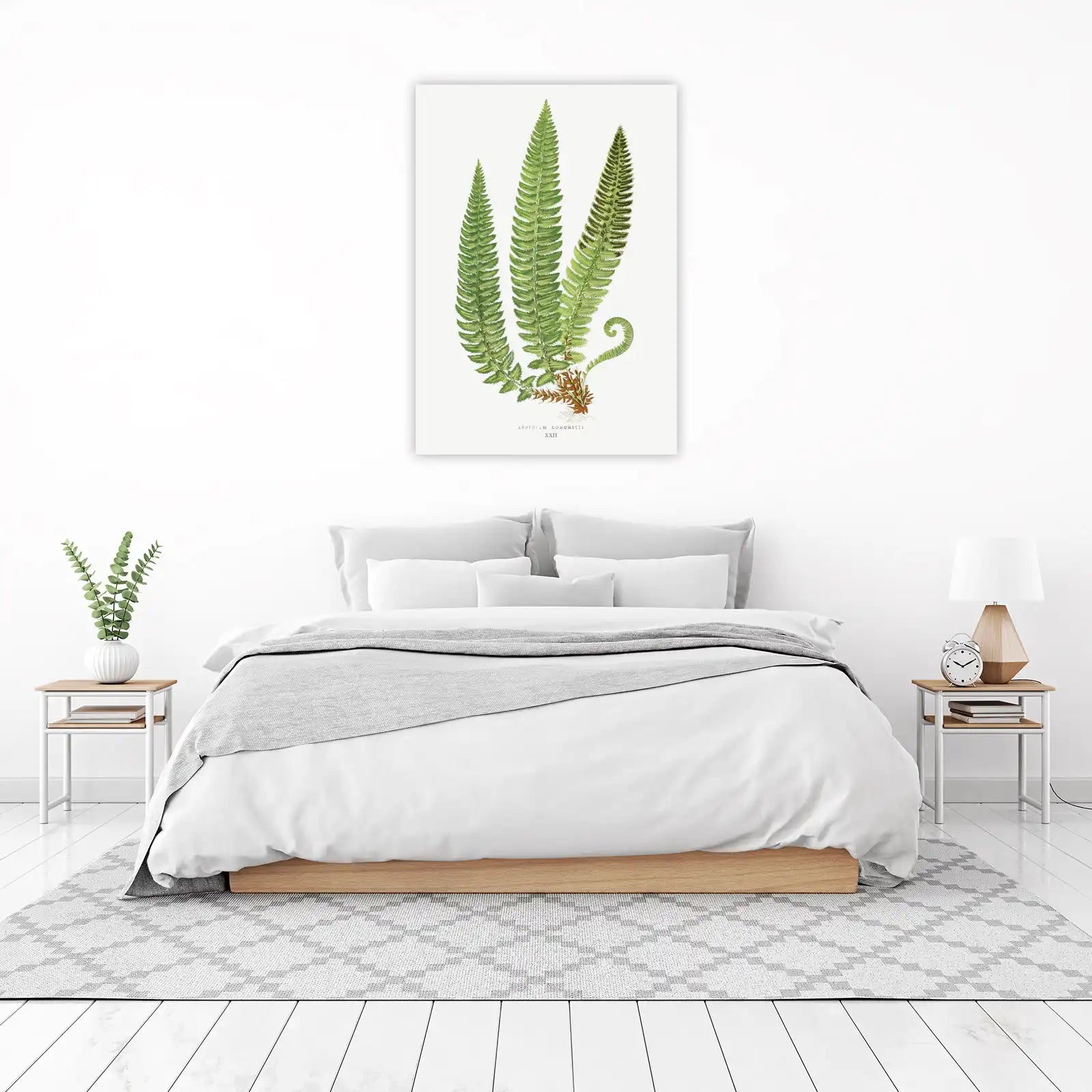 Vintage Fern Botanical Print Wall Art