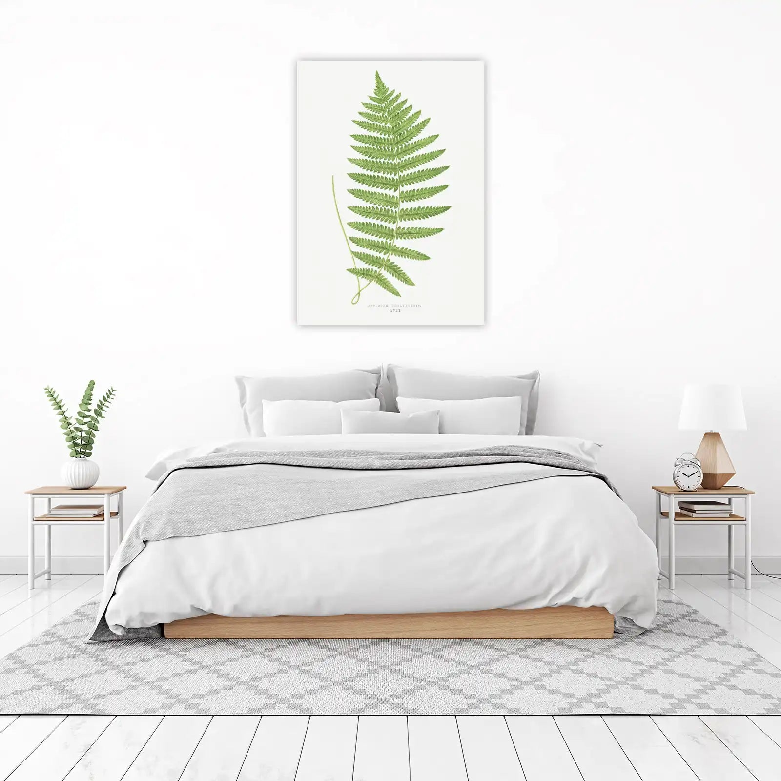 Vintage Fern Botanical Art Wall Art