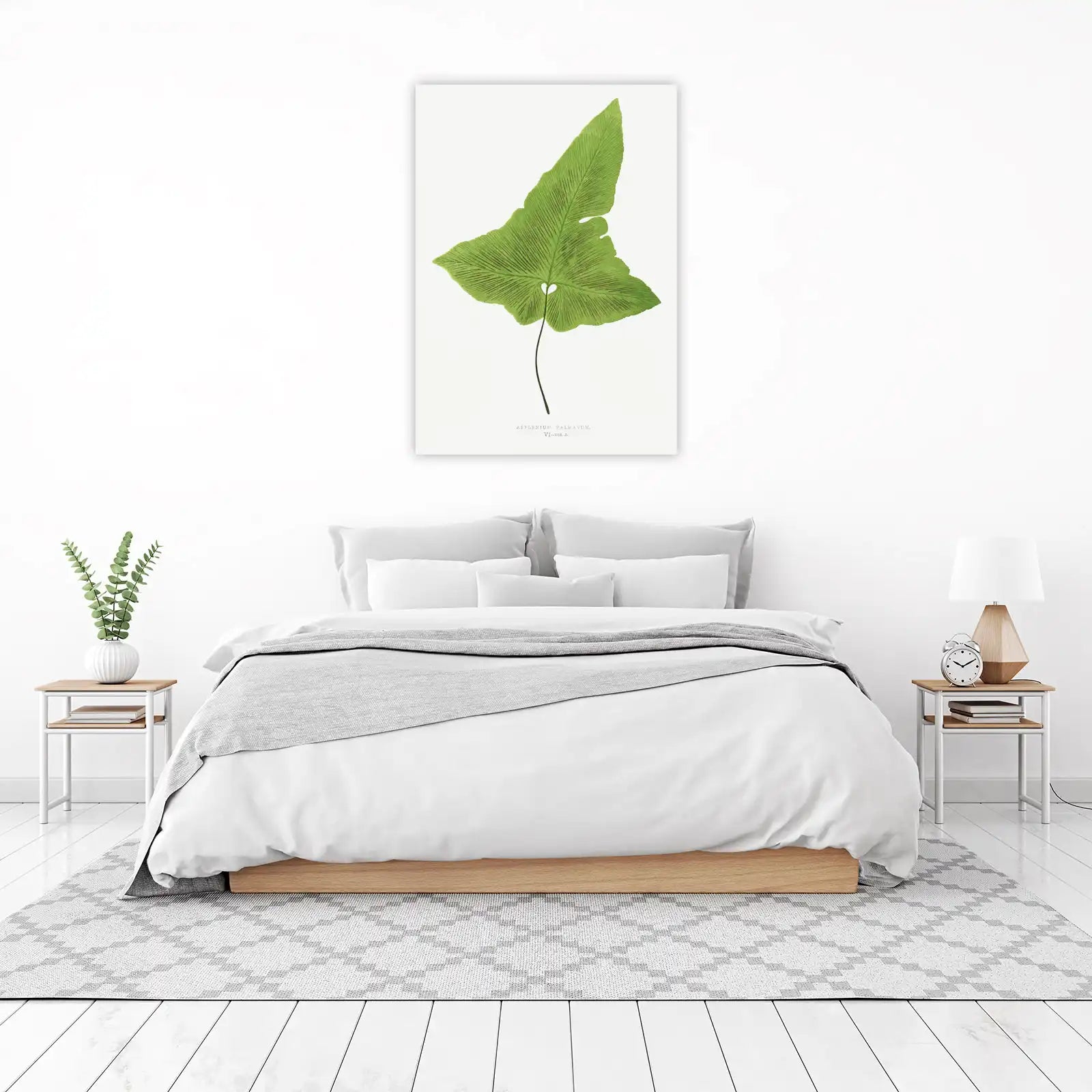 Vintage Fern Botanical Asplenium Palmatum Wall Art
