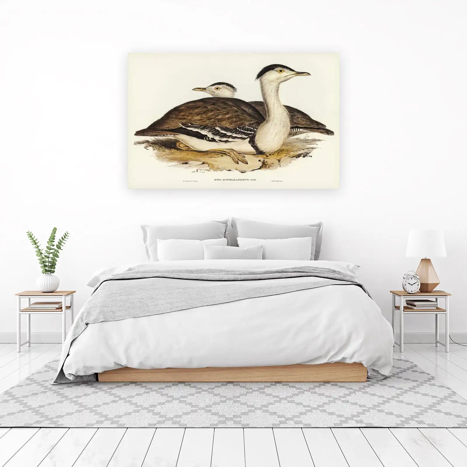 Vintage Australian Bustard Bird Art Wall Art