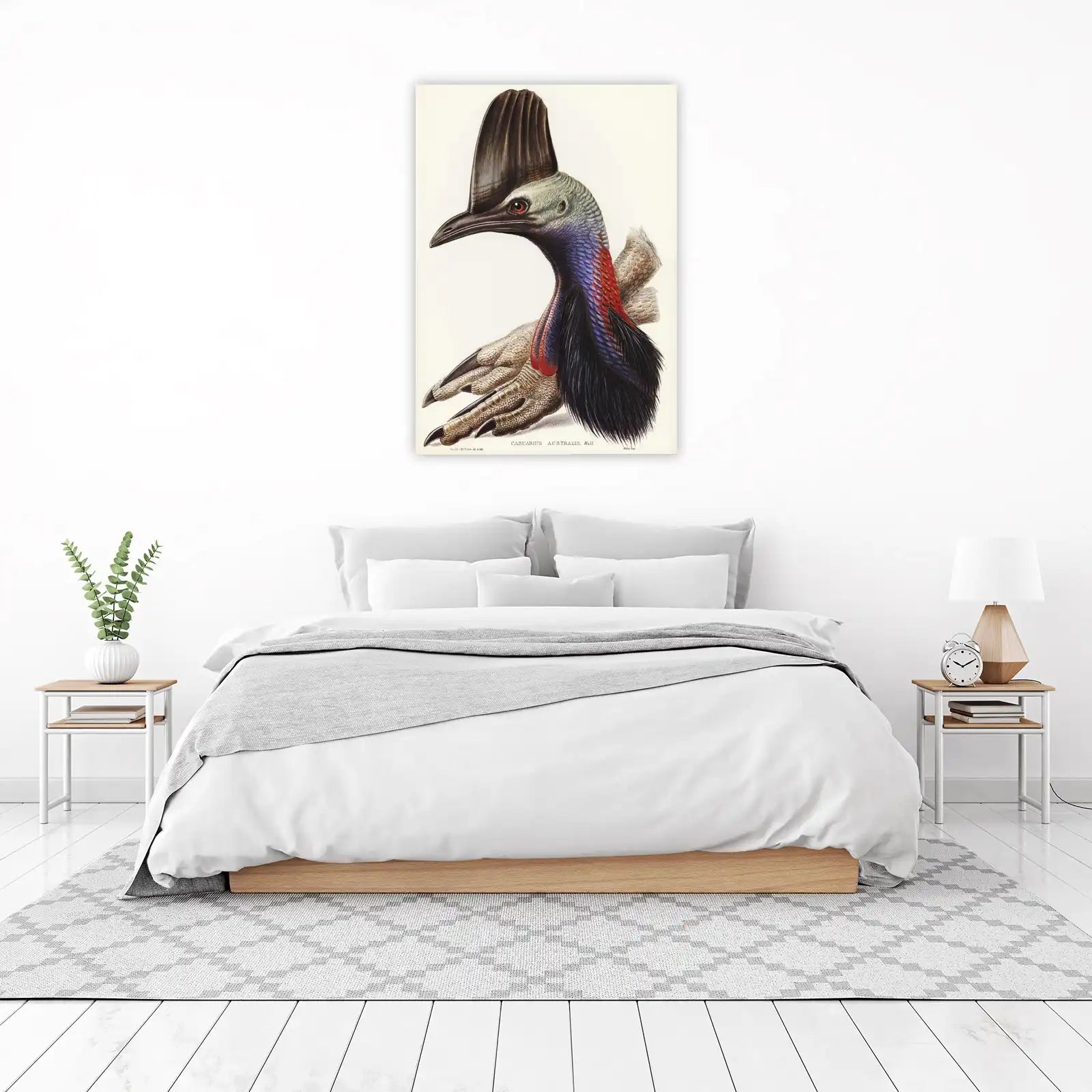 Majestic Cassowary Bird Vintage Wall Art Wall Art