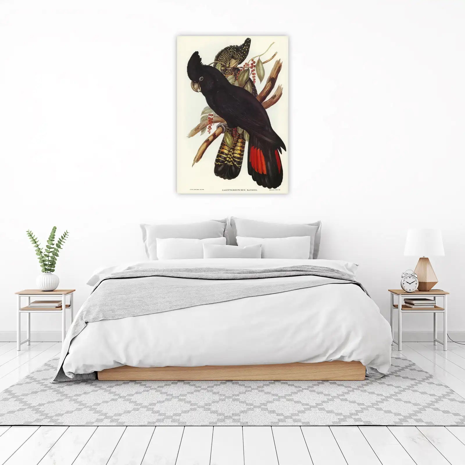 Exotic Black Cockatoo Wall Art | Tropical Bird Wall Art