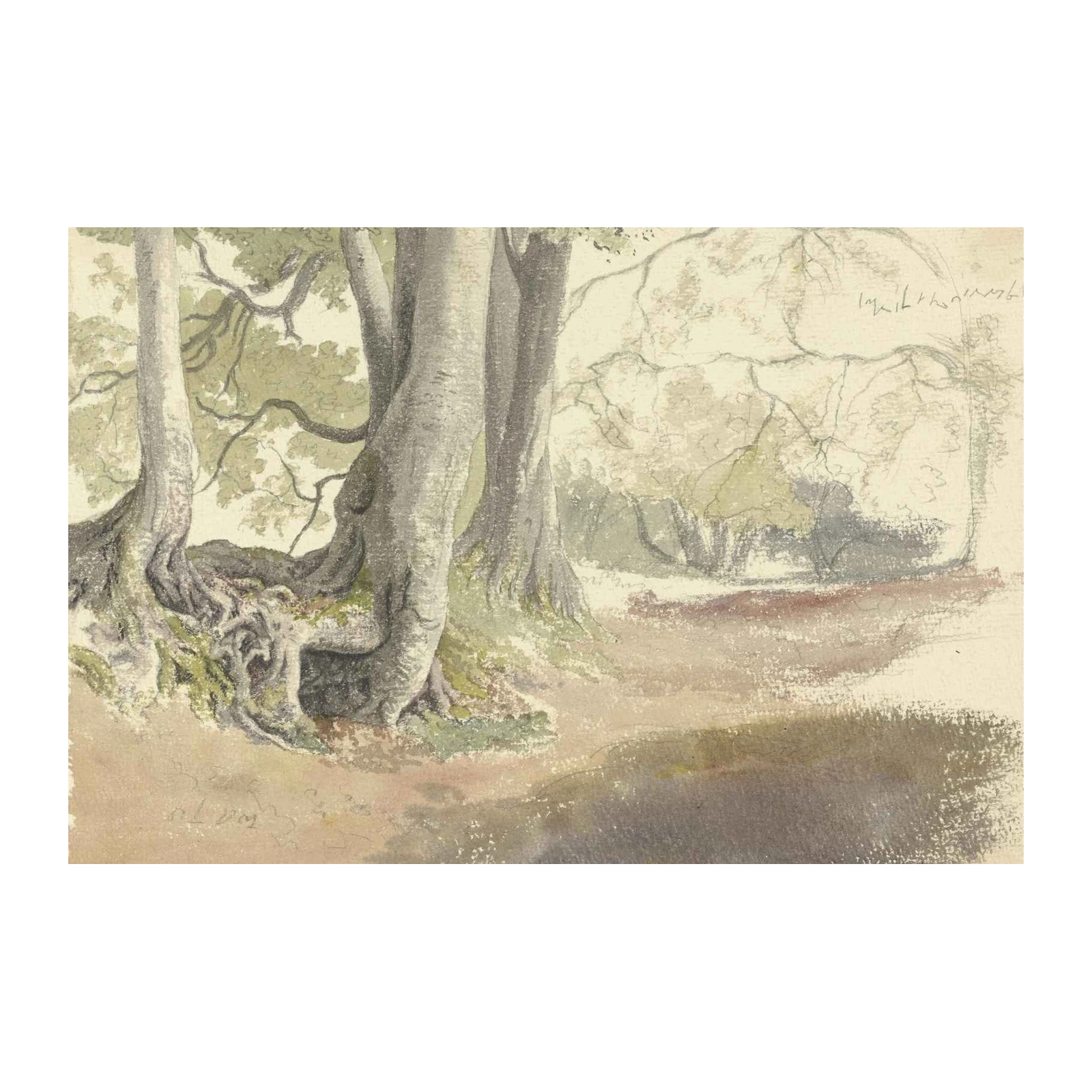 Serene Forest Path Wall Art