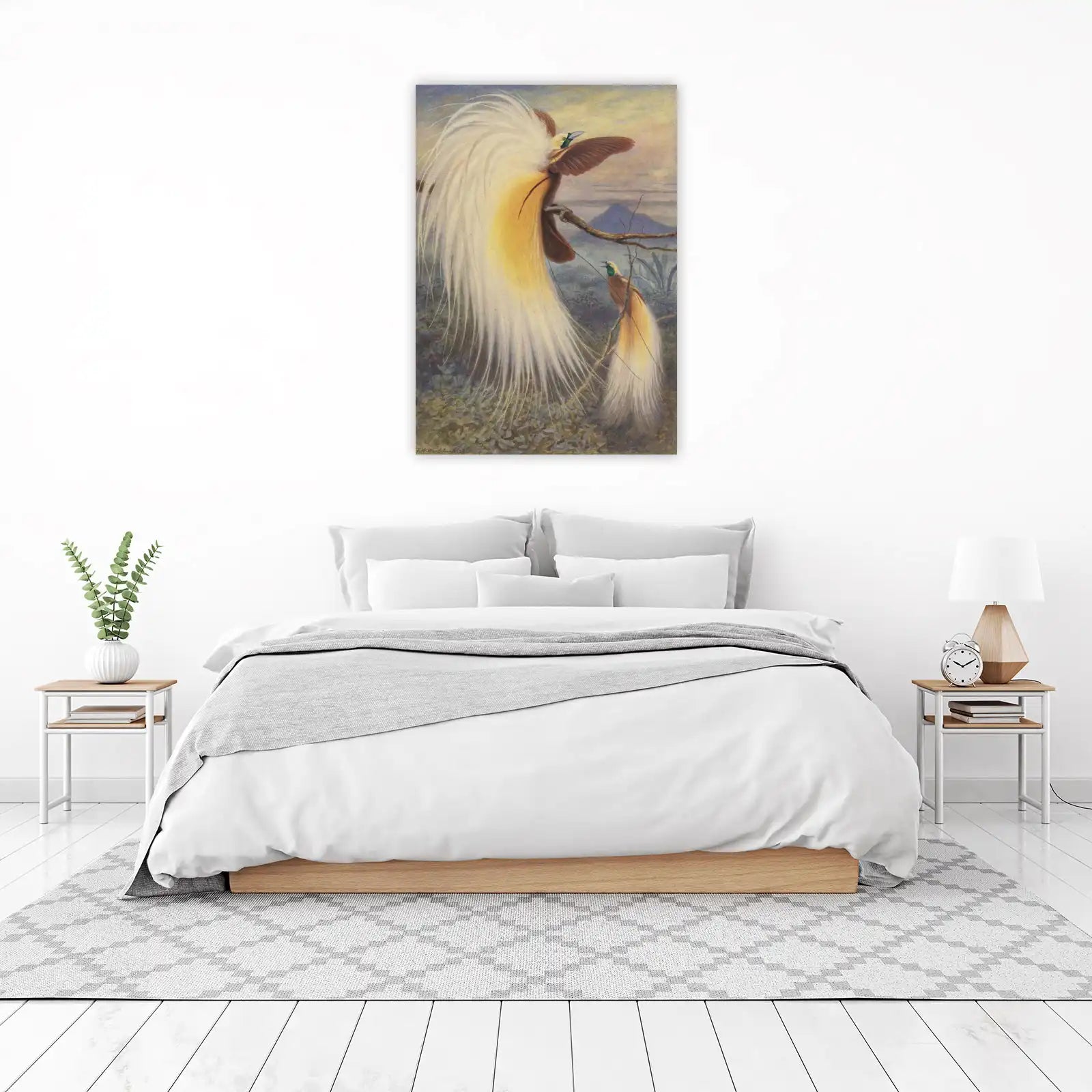 Exotic Birds of Paradise Wall Art Wall Art