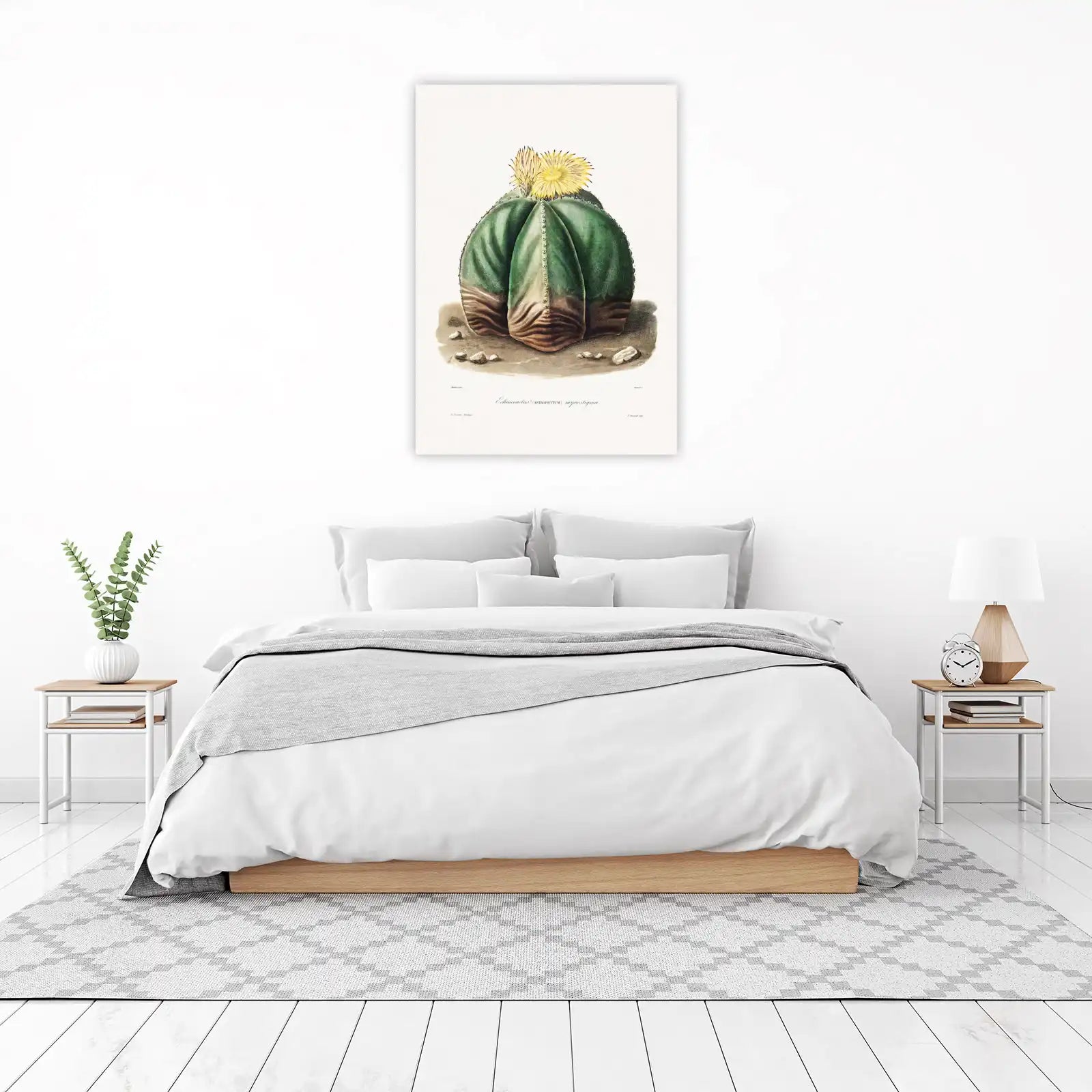 Botanical Cactus Art Wall Art