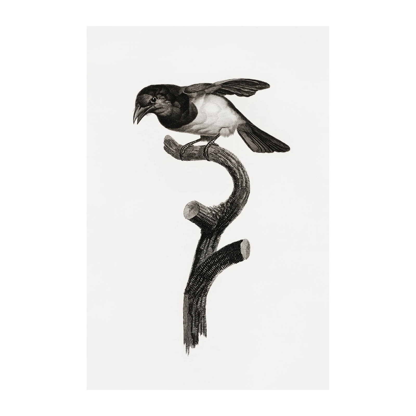 Vintage Bird on Branch Wall Art Wall Art