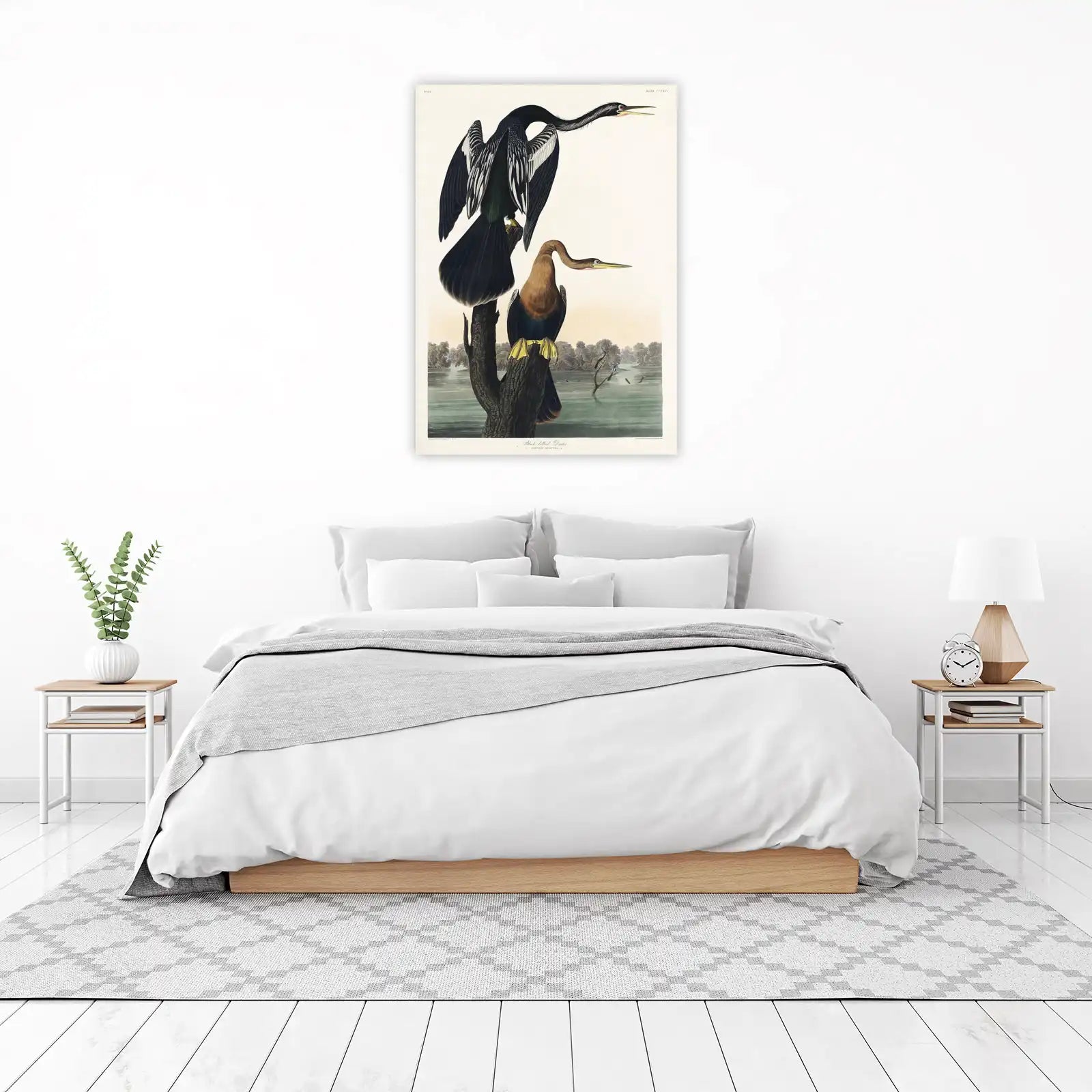 Audubon Black-bellied Darter Wall Art | Vintage Bird Art
