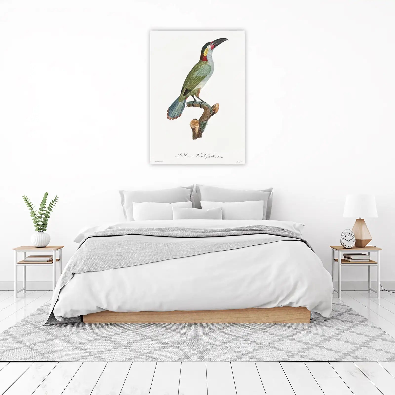 Vintage Toucan Bird Art Print - Exotic Nature Wall Art