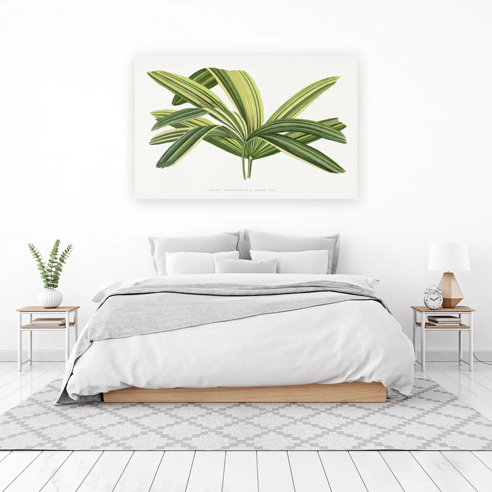 Variegated Rhapis Palm Botanical Wall Art