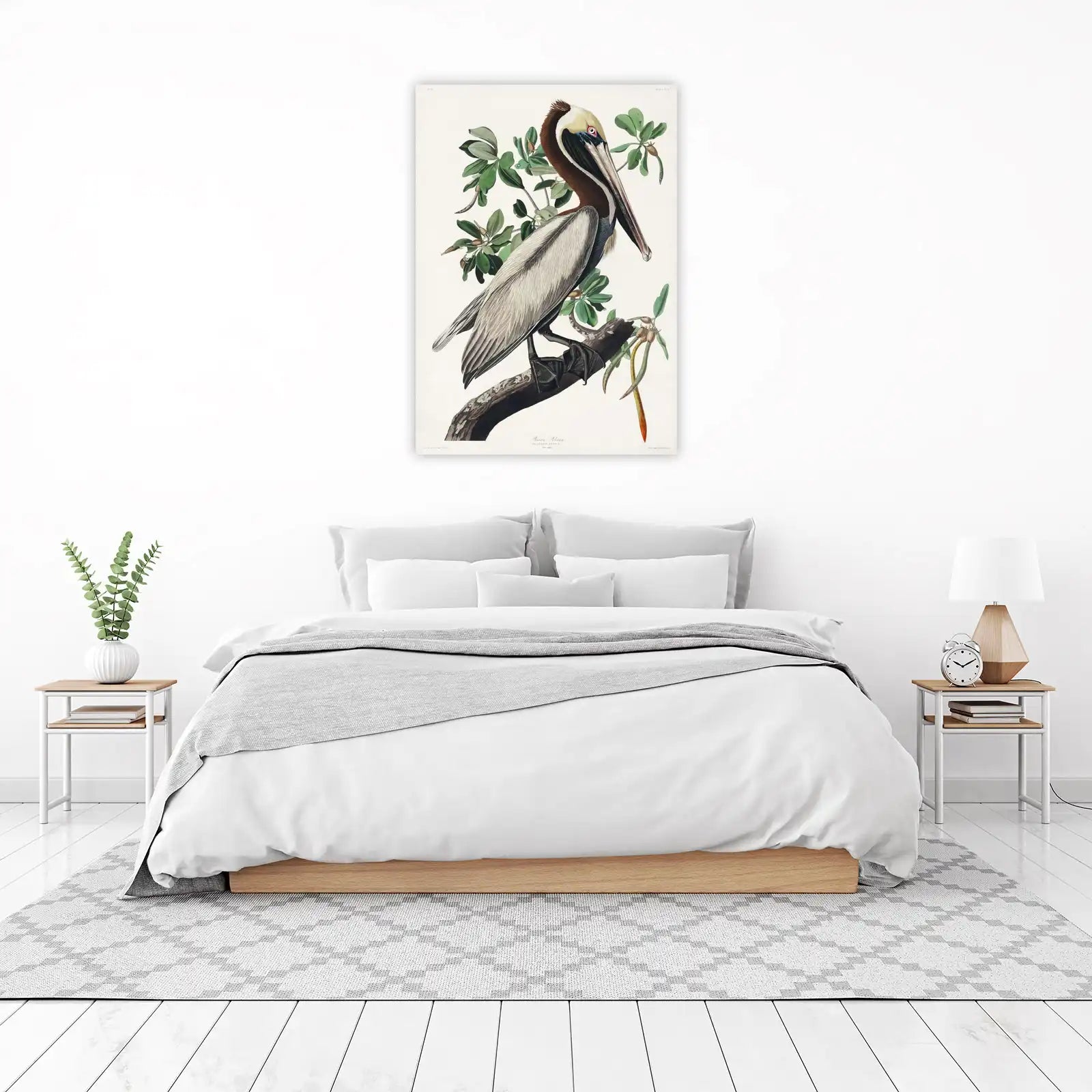 Brown Pelican Bird Vintage Art Wall Art