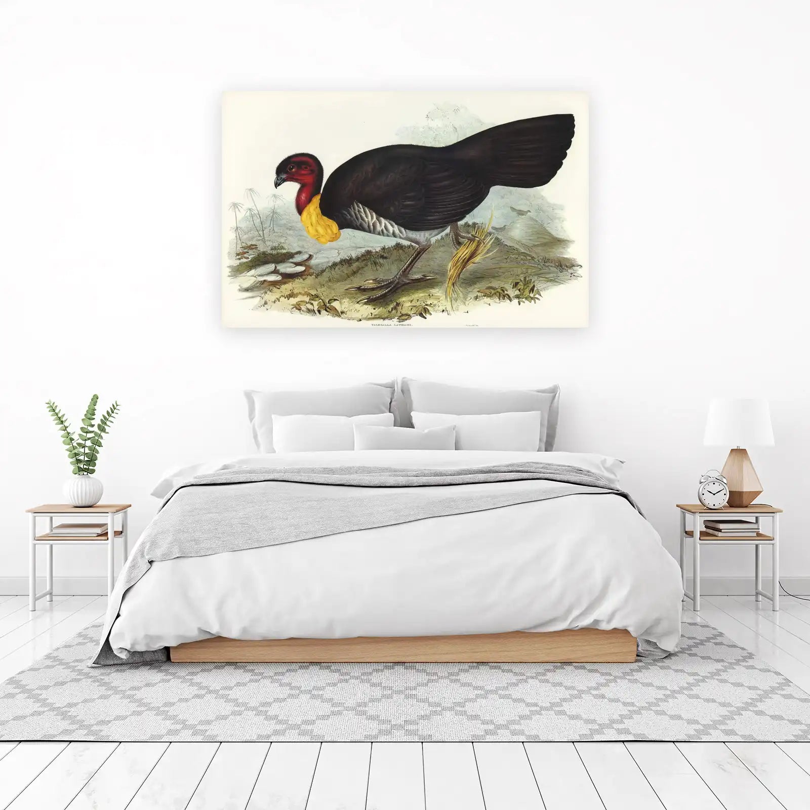 Rare Bird Art: Exotic Junglefowl Wall Art