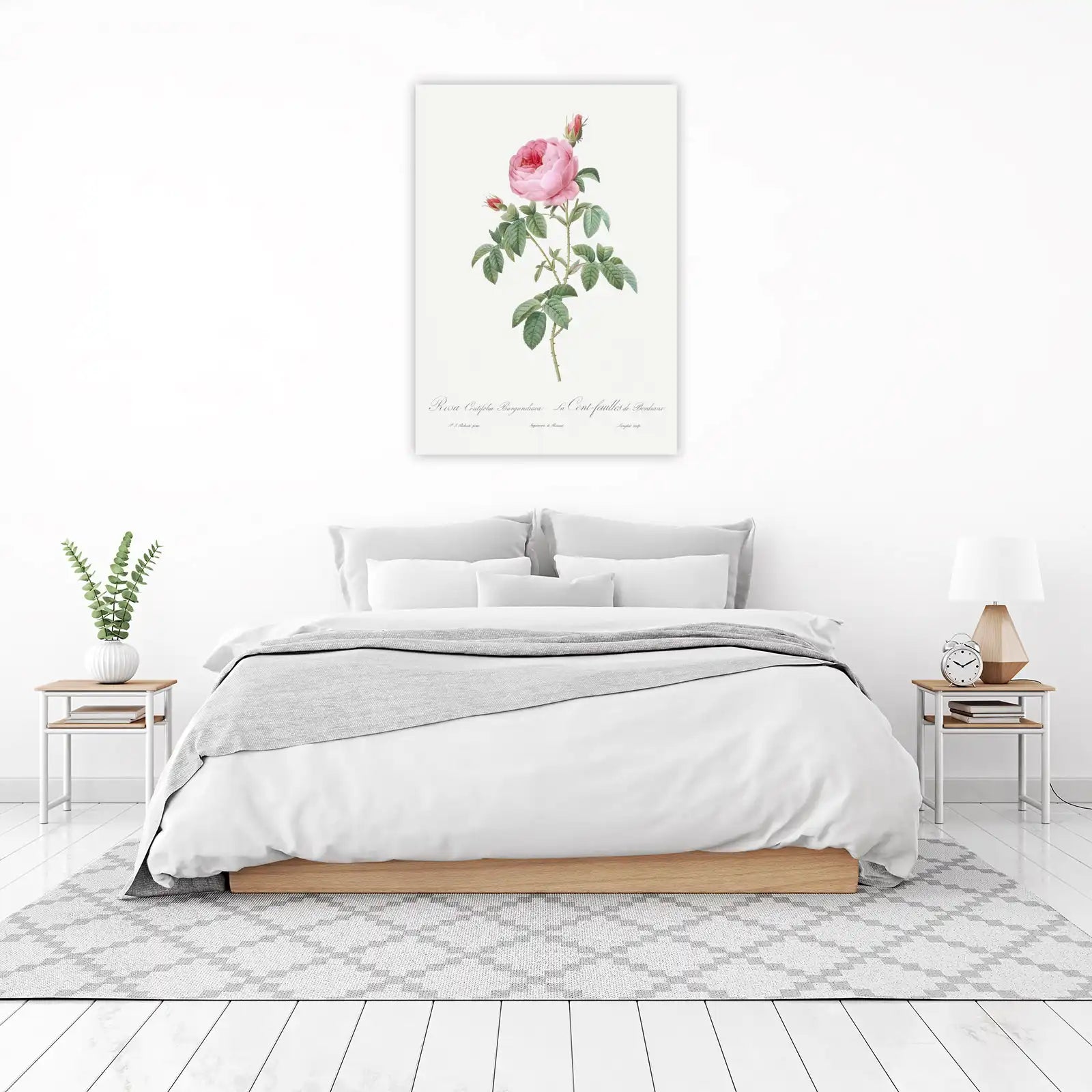 Elegant Pink Rose Botanical Art Wall Art