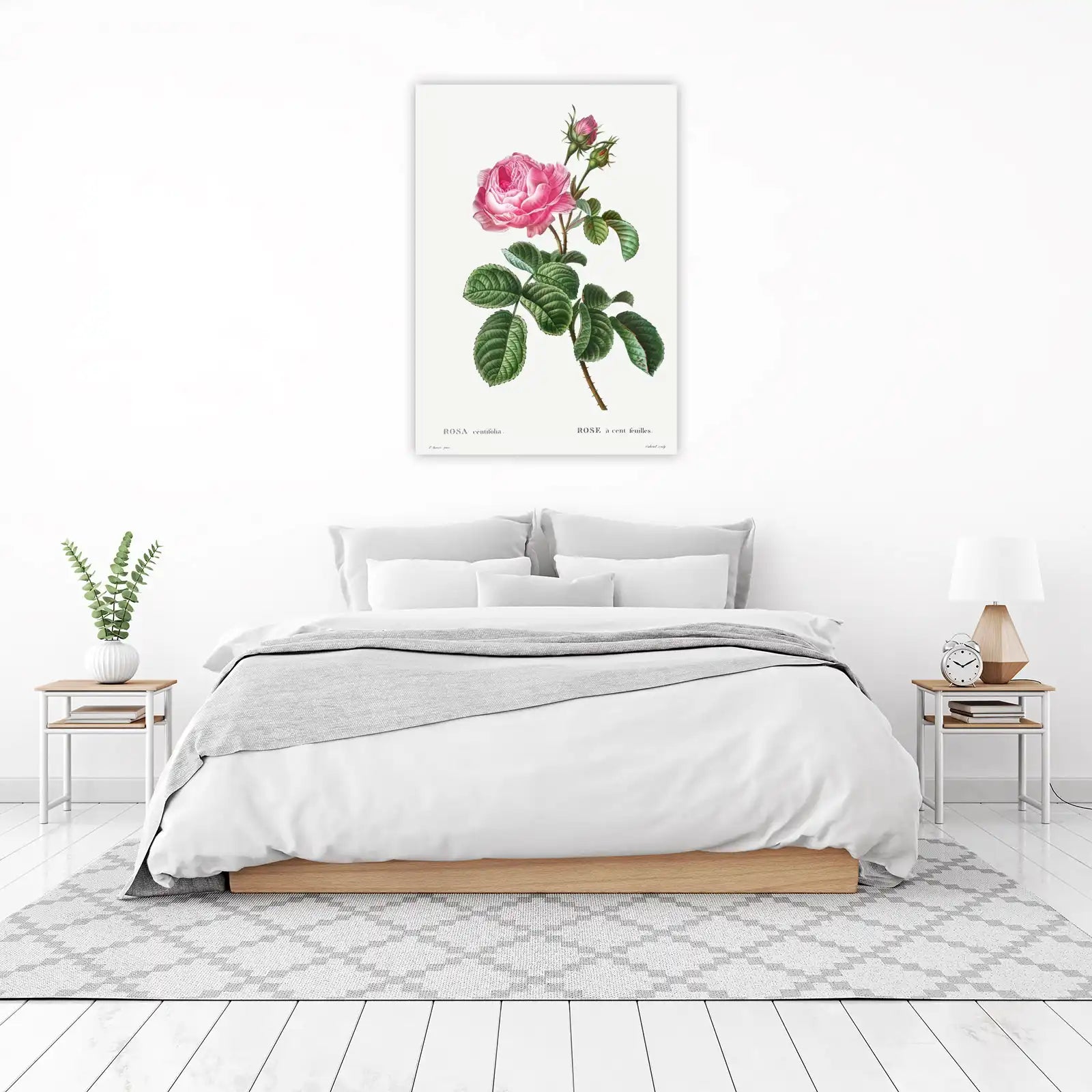 Vintage Pink Rose Botanical Wall Art
