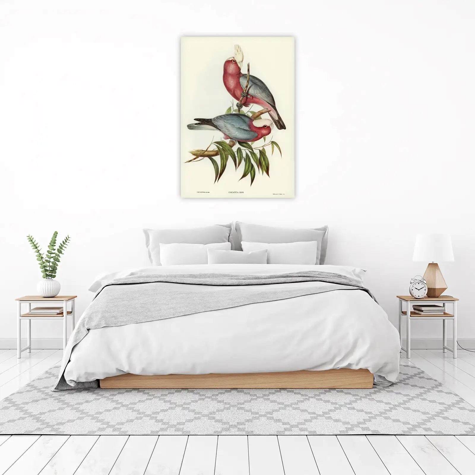 Galah Cockatoo Botanical Art Wall Art