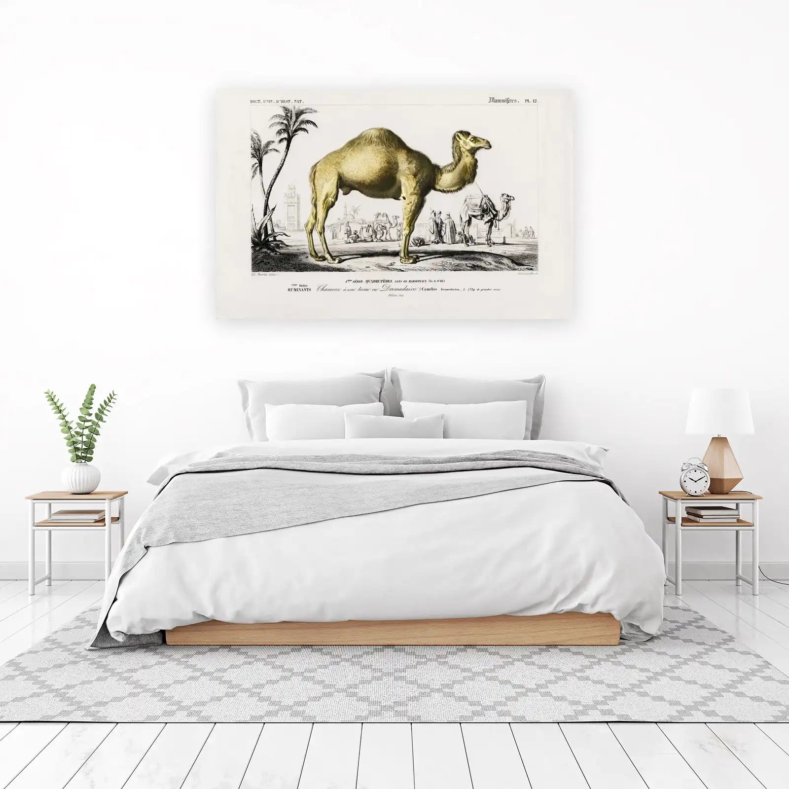 Vintage Camel Desert Scene Wall Art