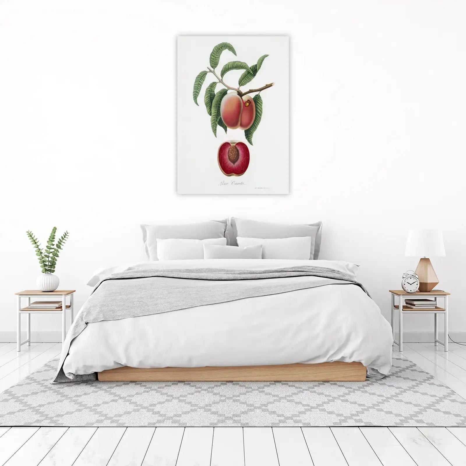 Vintage Peach Botanical Wall Art Wall Art