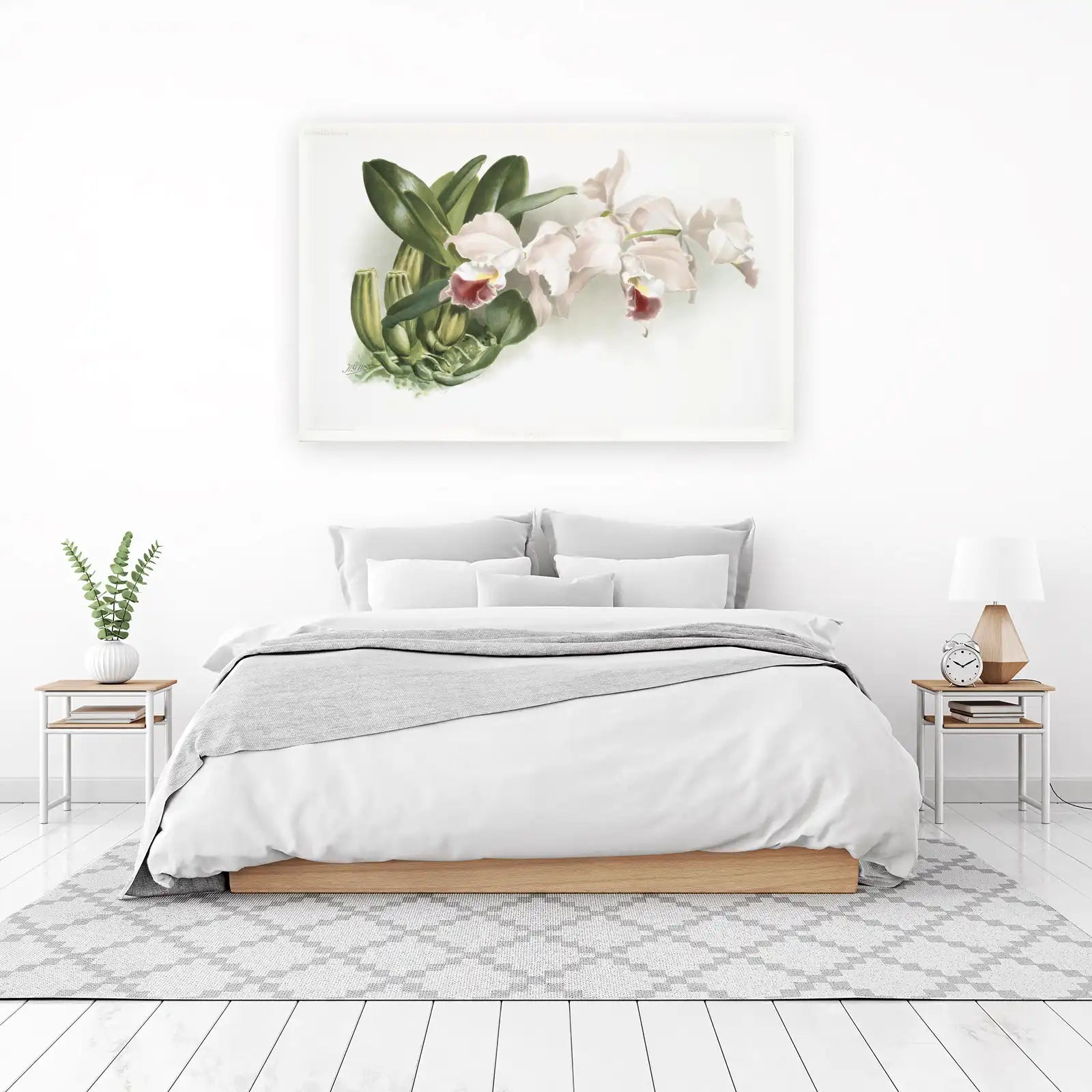 Vintage Cattleya Orchid Botanical Art Wall Art