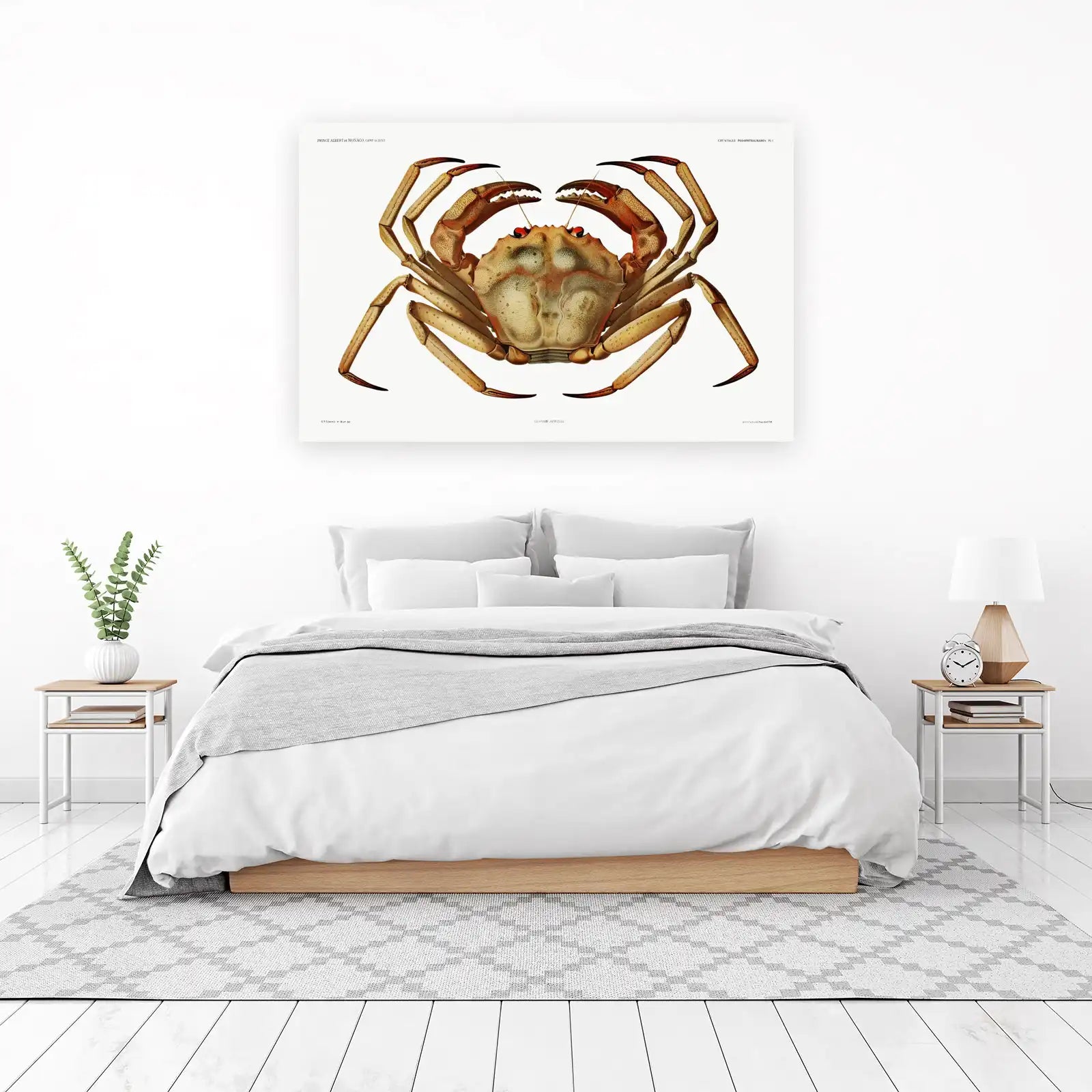 Vintage Crab Illustration Fine Art Wall Art